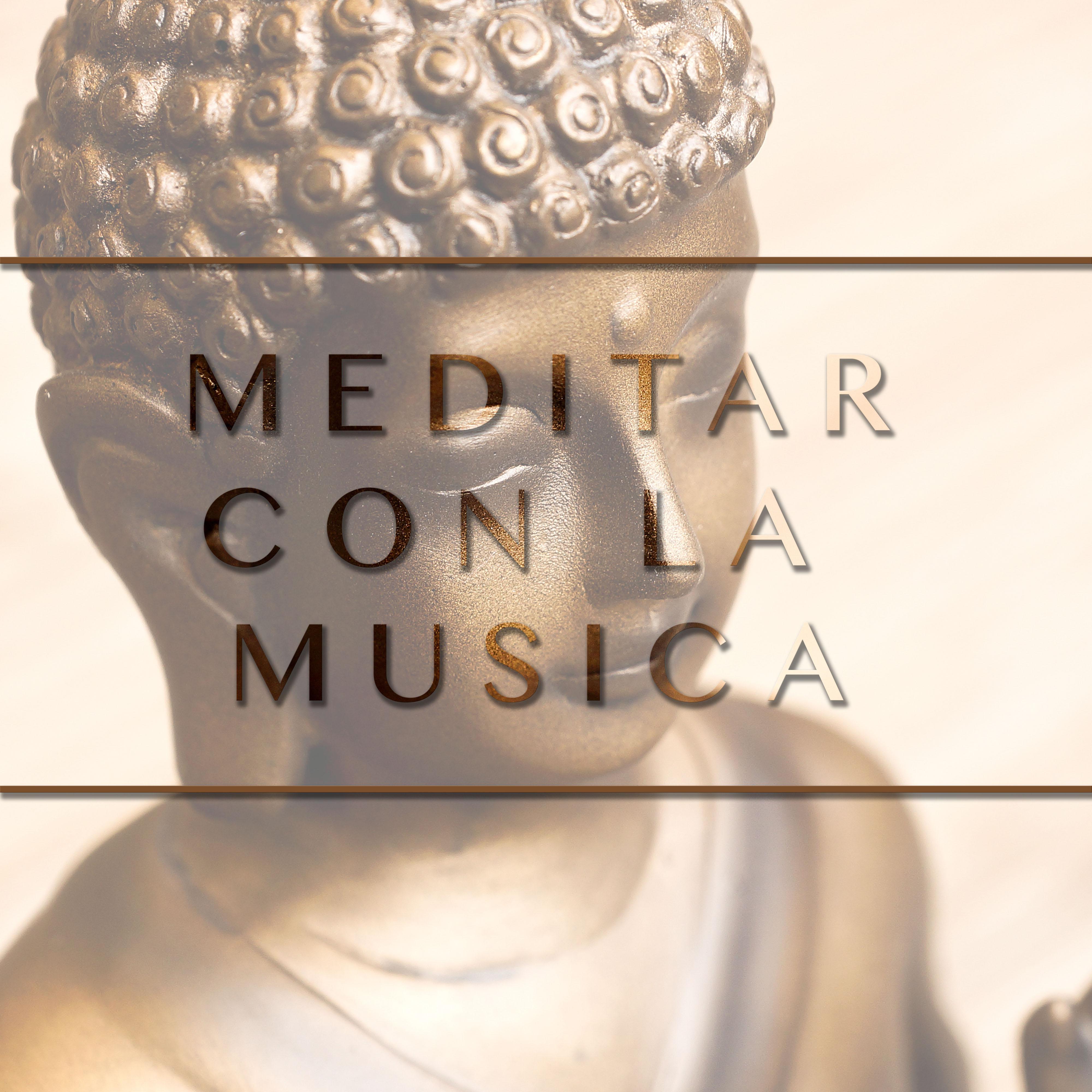 Como Meditar con la Musica: Sonidos de Relajamento