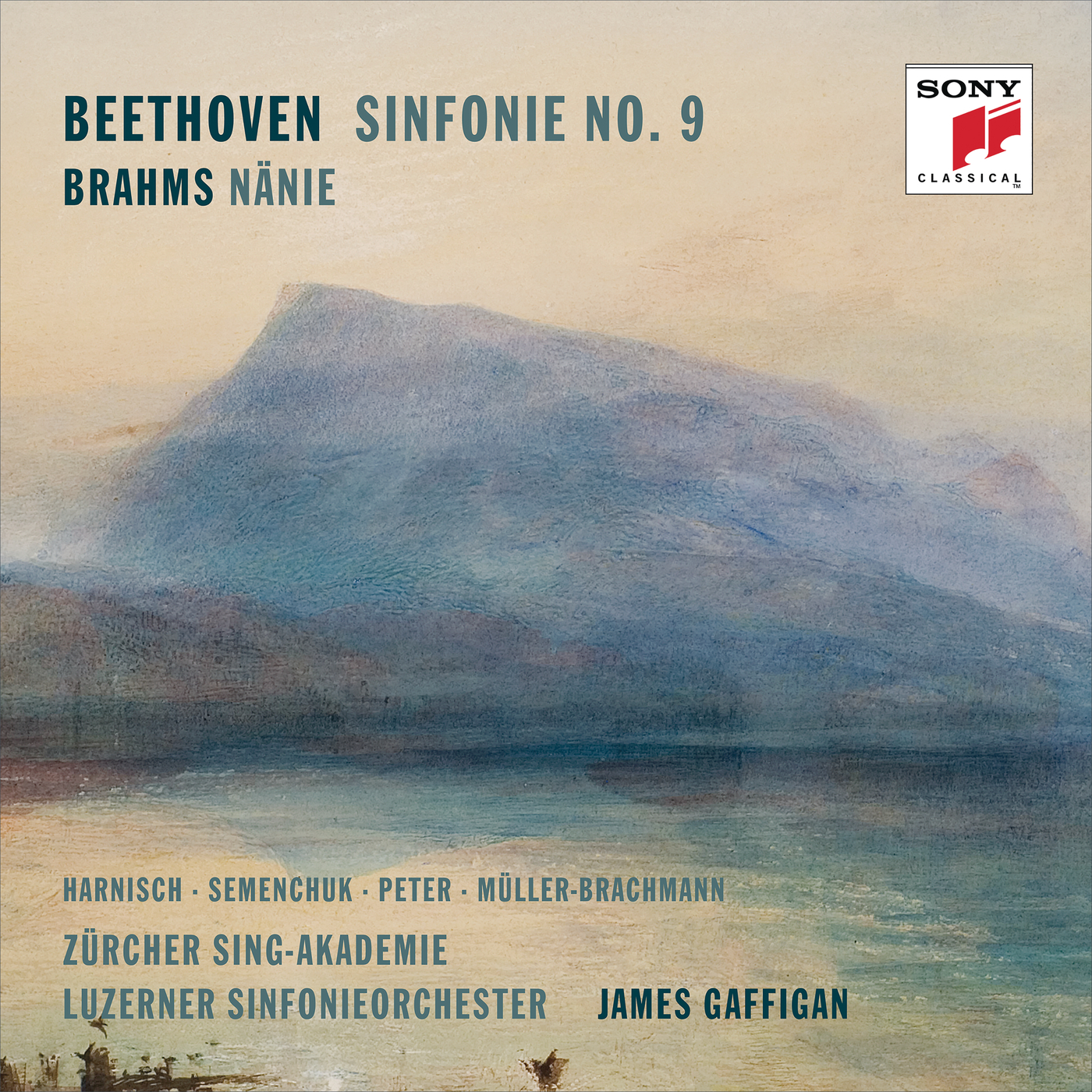 Symphony No. 9 in D Minor, Op. 125:I. Allegro ma non troppo