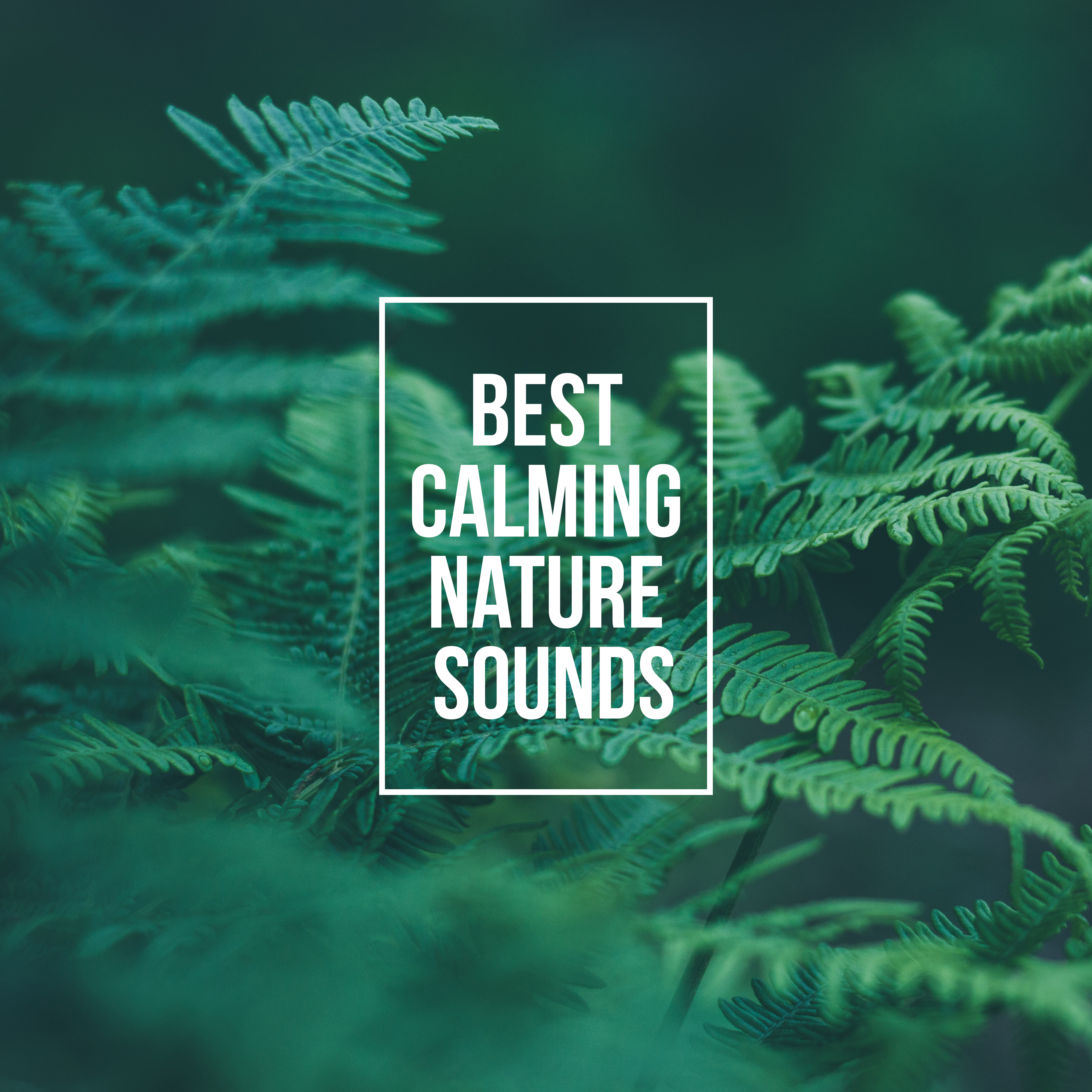 Best Calming Nature Sounds – Relax Your Body & Mind with Nature New Age Music