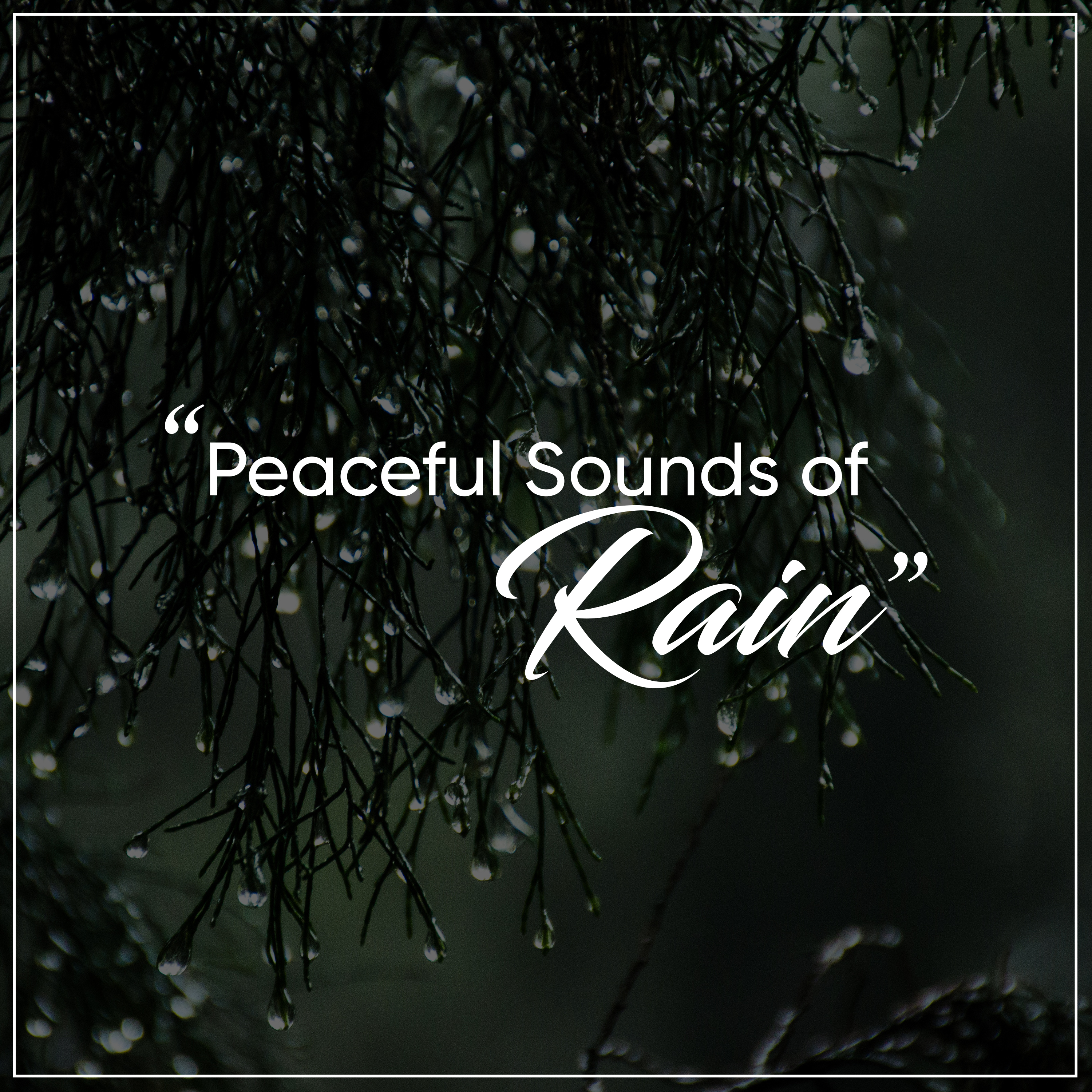18 Sounds of Rainfall for Deep Sleep and Relaxation