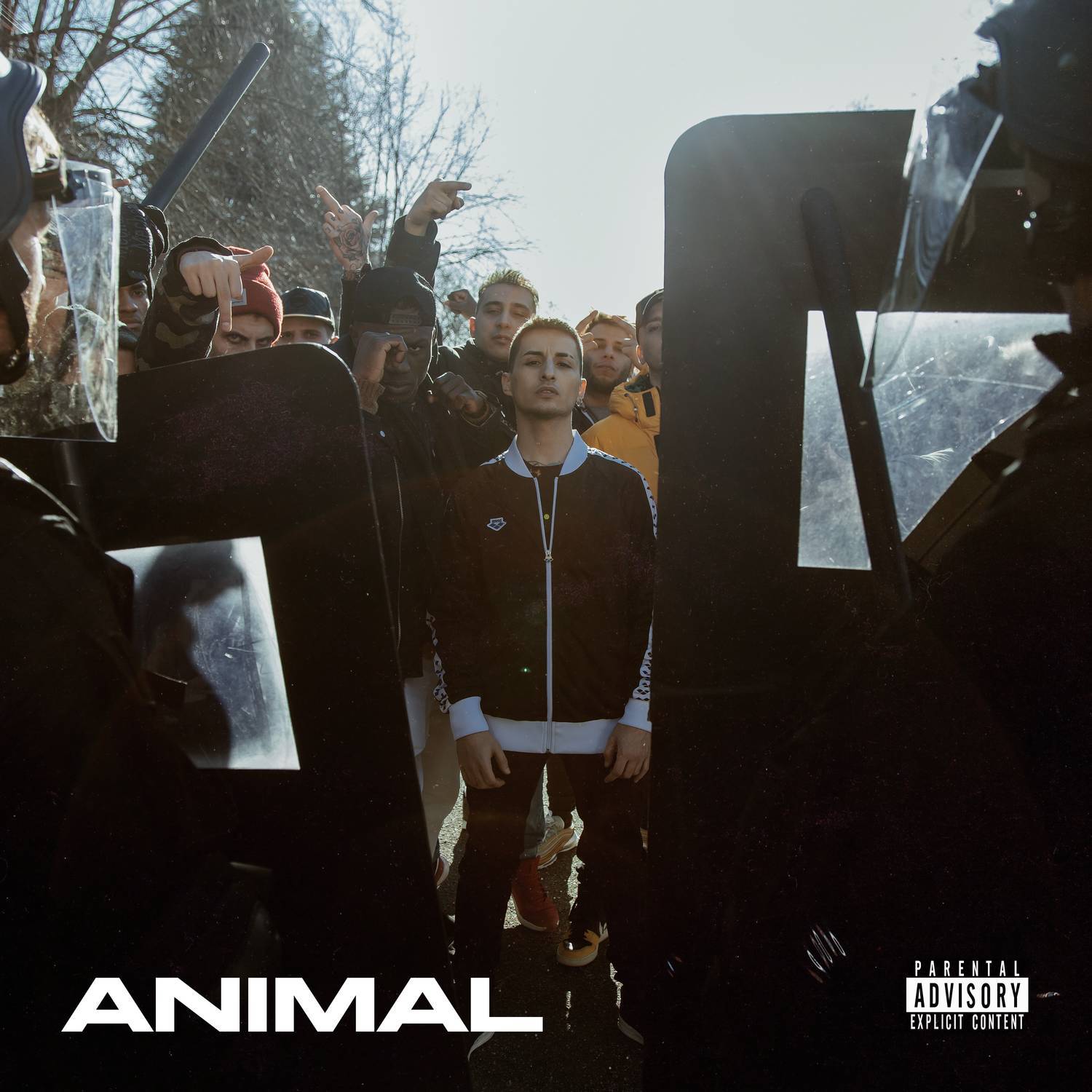 Animal