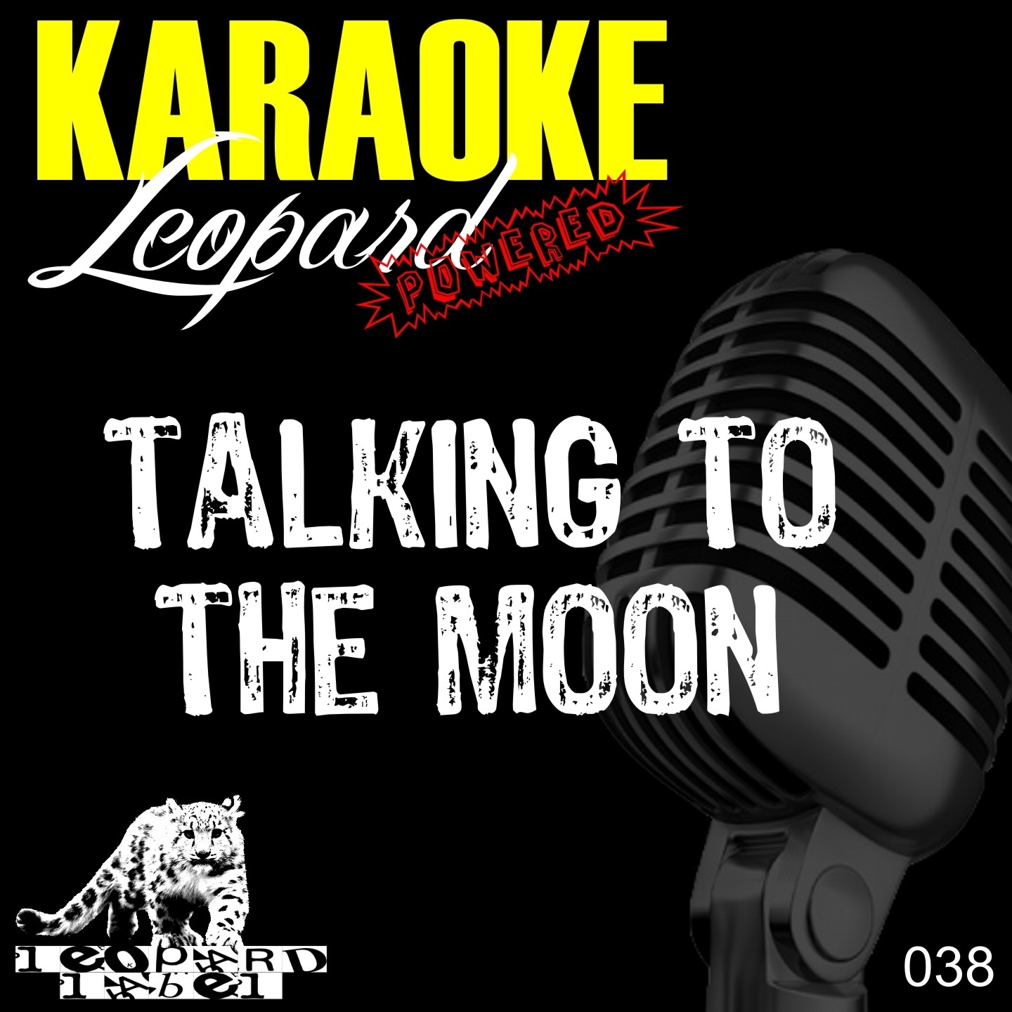 Talking to the Moon Karaoke