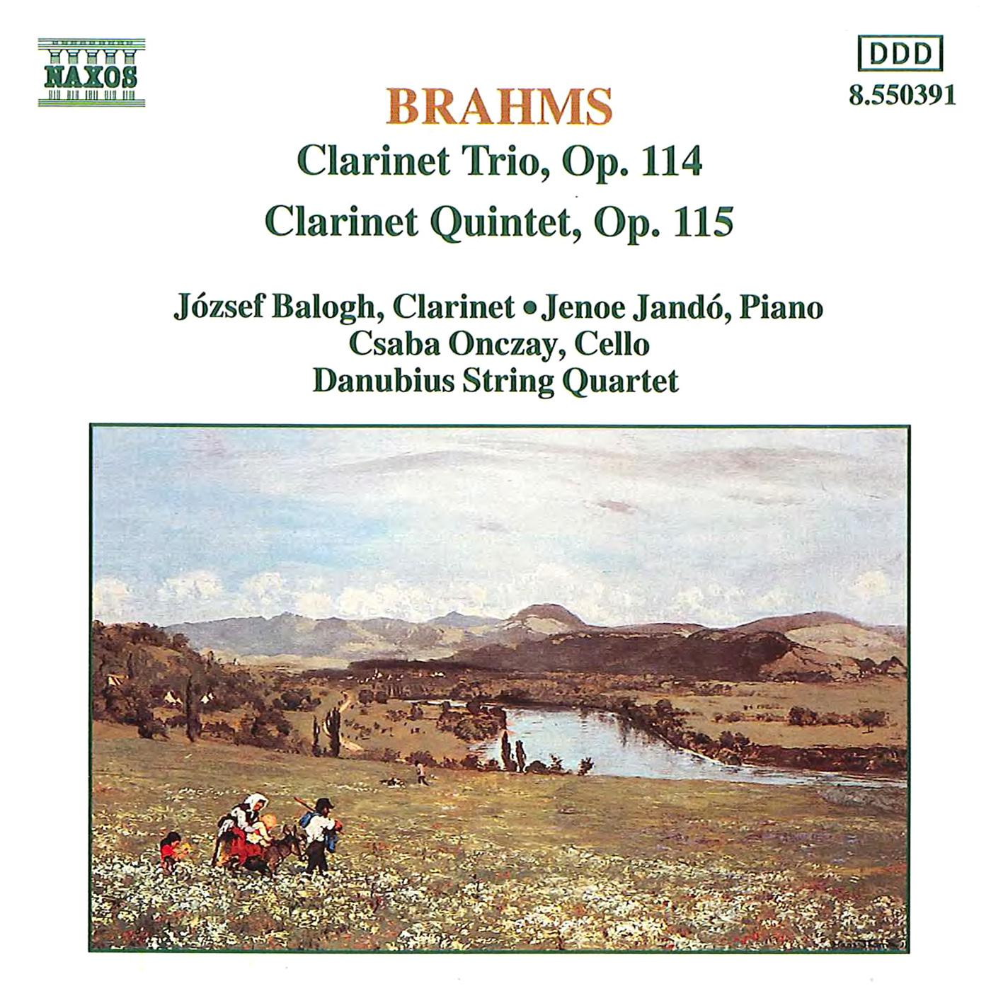Clarinet Quintet in B Minor, Op. 115:I. Allegro
