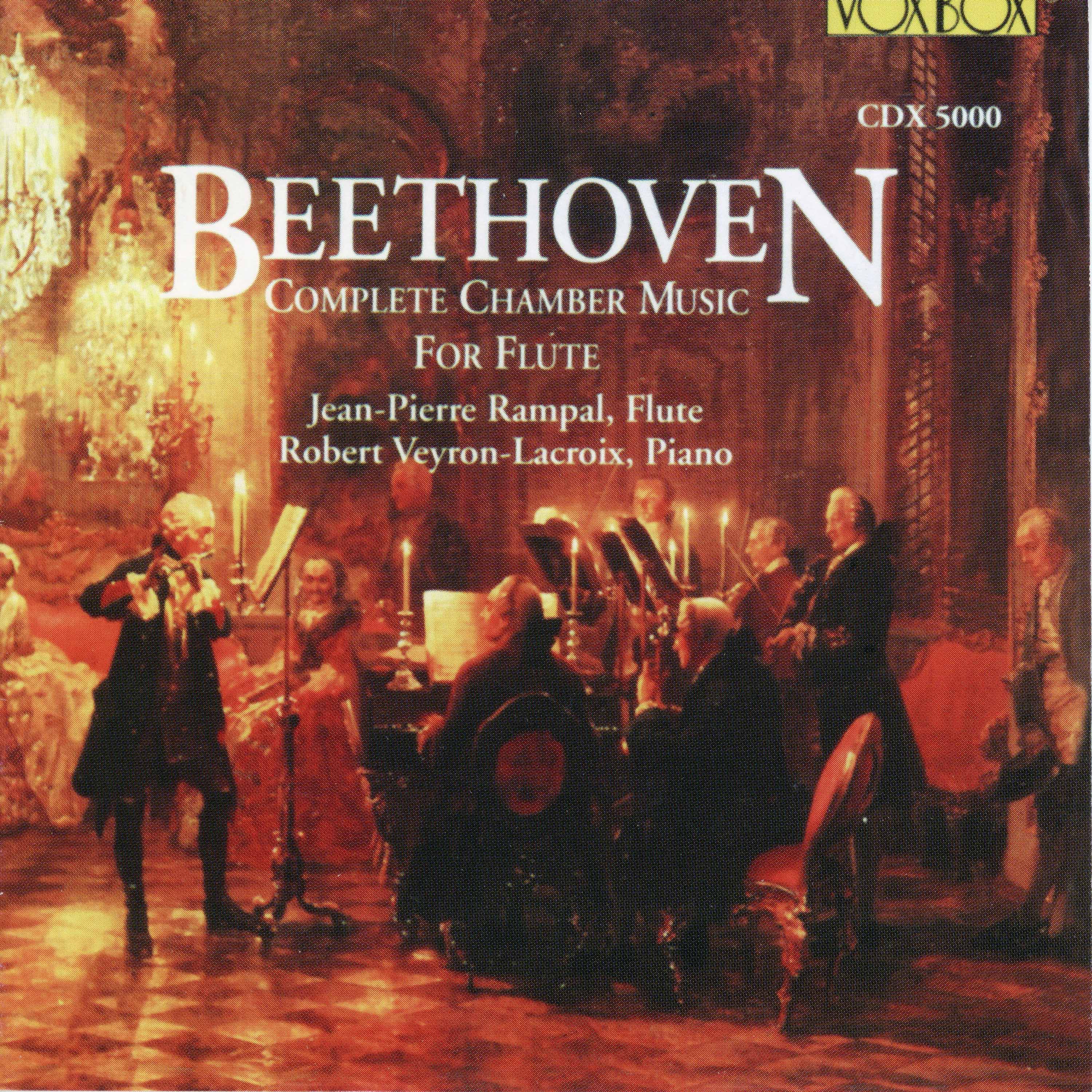 Serenade in D Major, Op. 41:Serenade in D Major, Op. 41: IV. Andante con variazioni