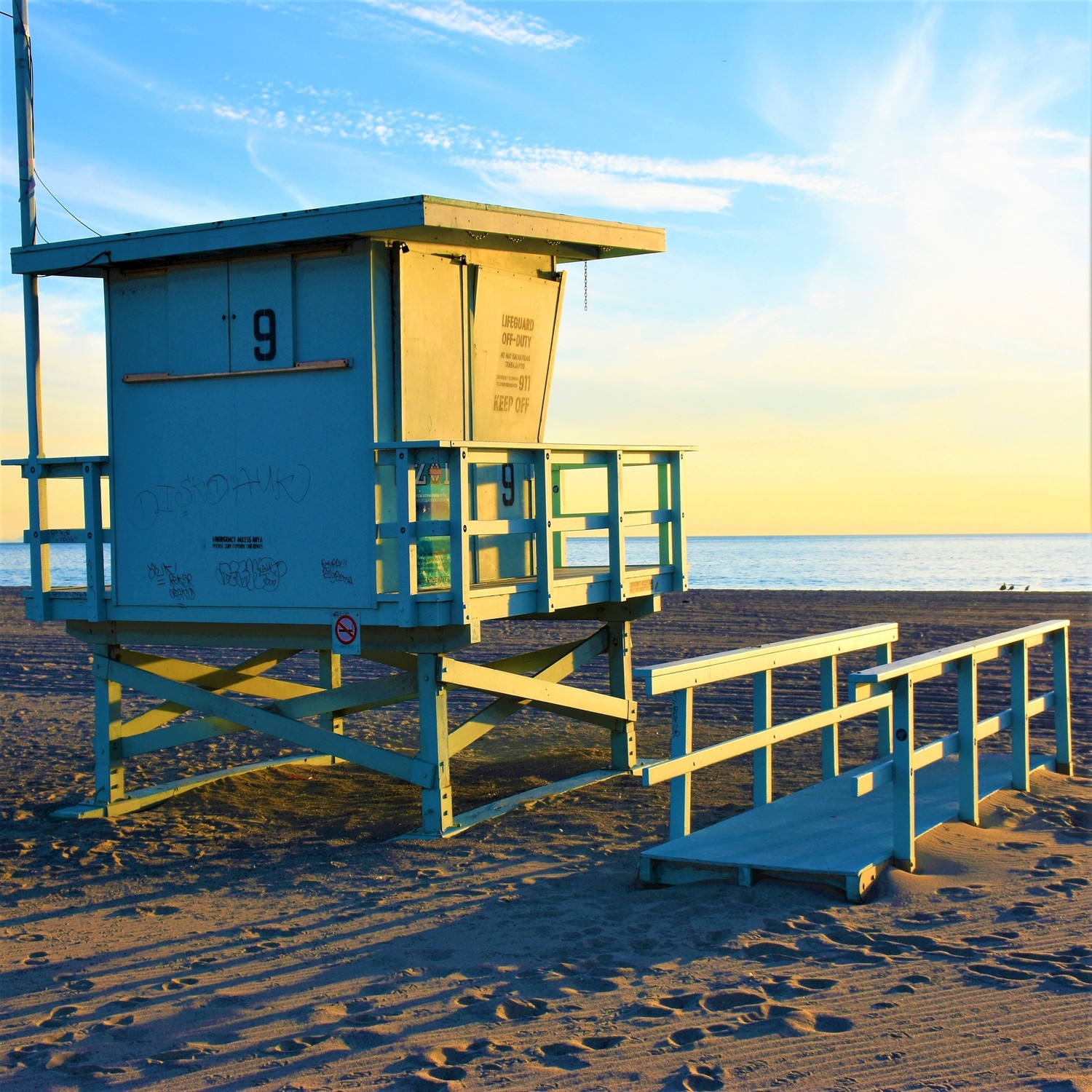 Beach California: Pelicans, Seagulls and Waves - Relaxing Ocean Sound