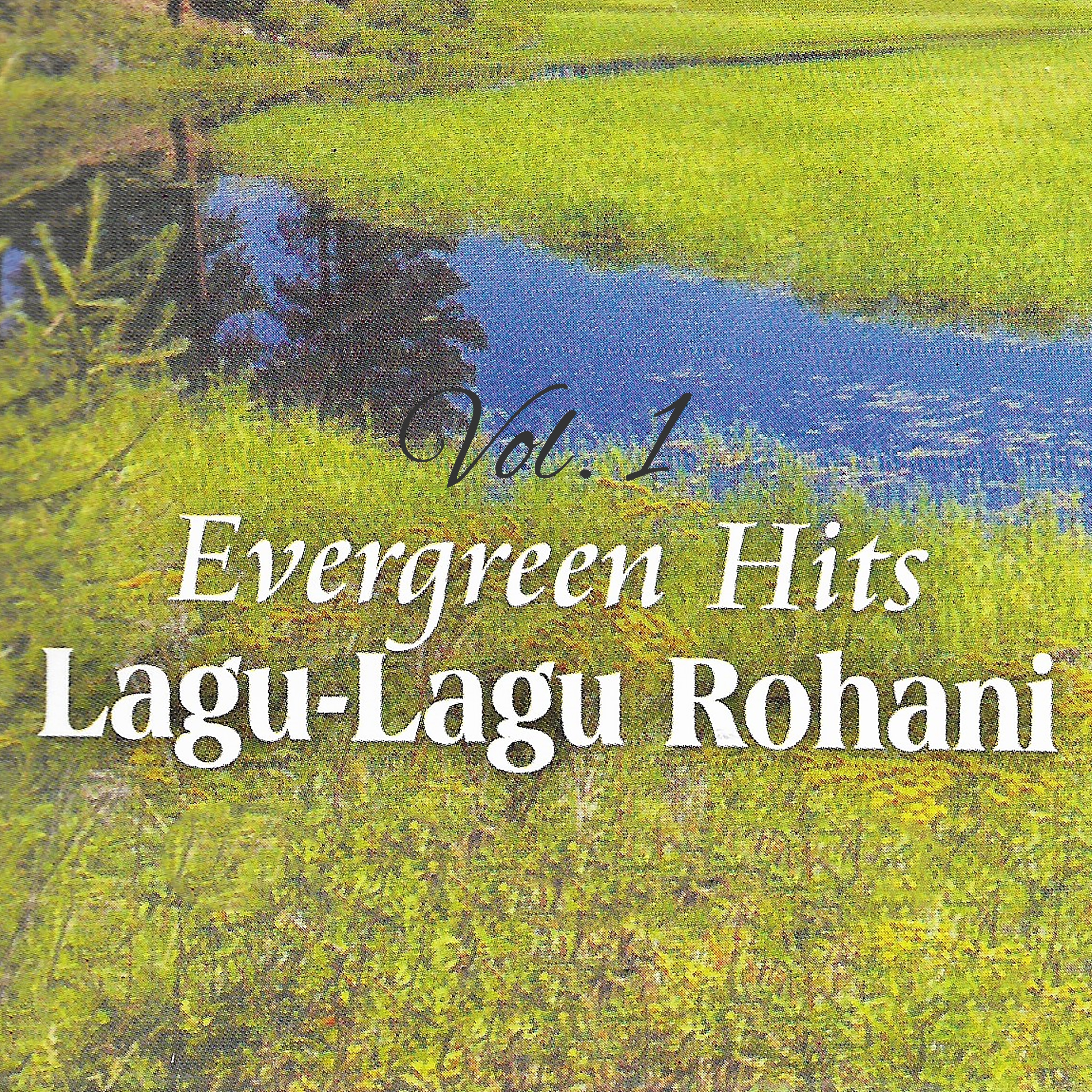 Evergreen Hits Rohani, Vol. 1