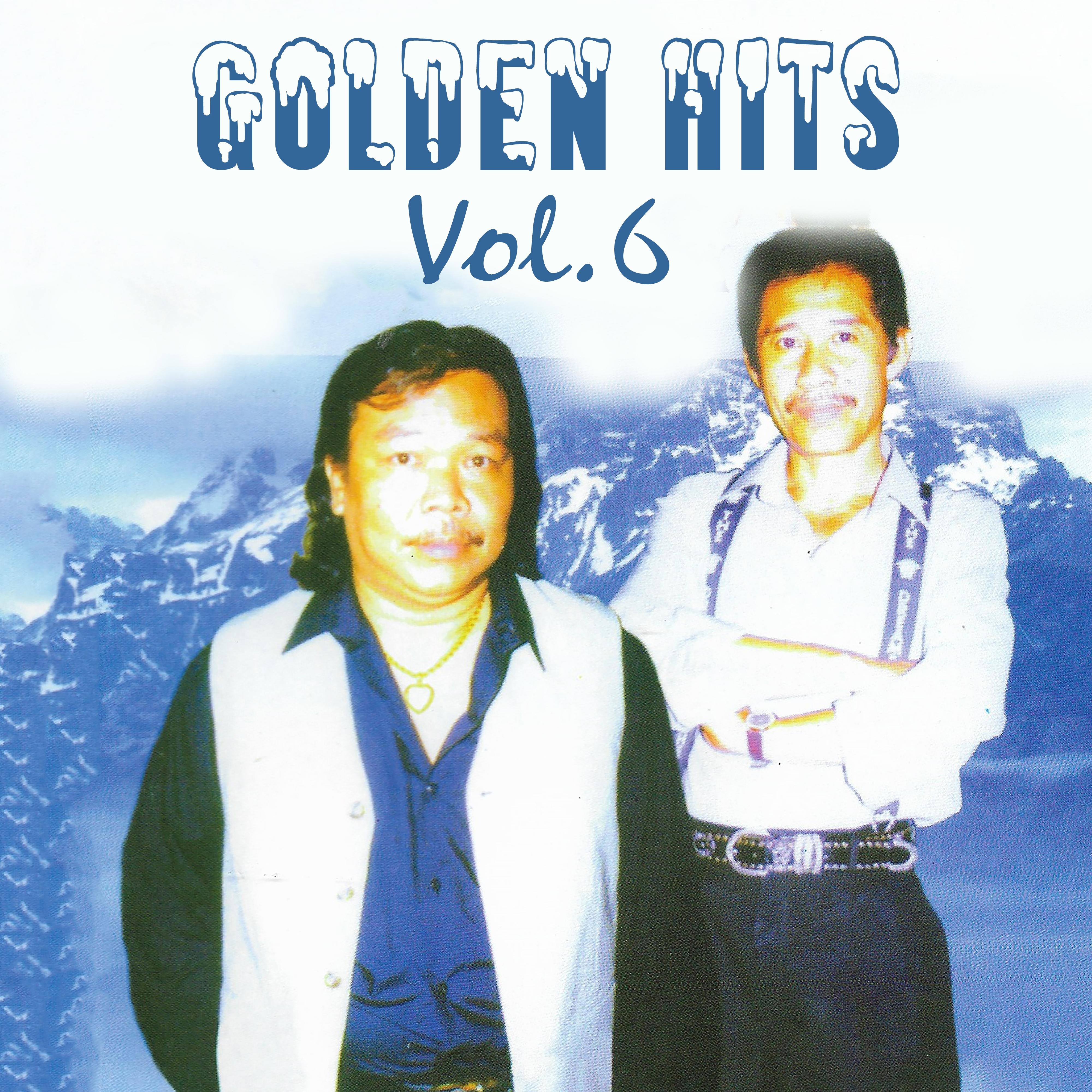 Golden Hits, Vol. 6