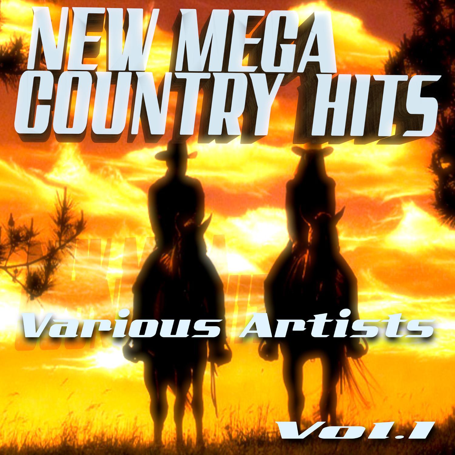 New Mega Country Hits, Vol. 1