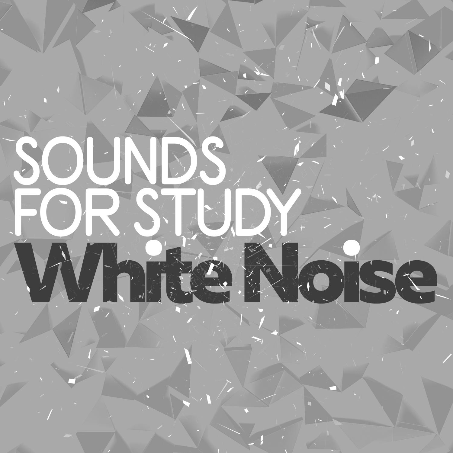 White Noise: A Kettle and Microwave