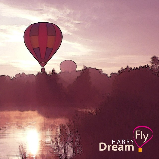 Dream Fly