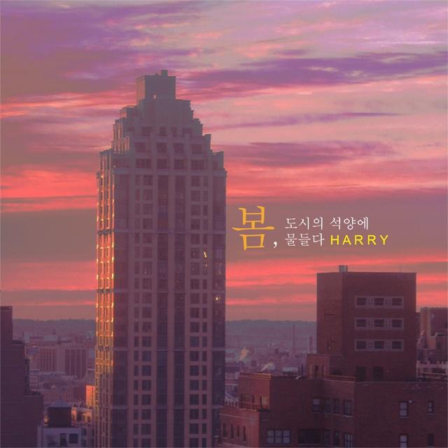 봄, 도시의 석양에 물들다