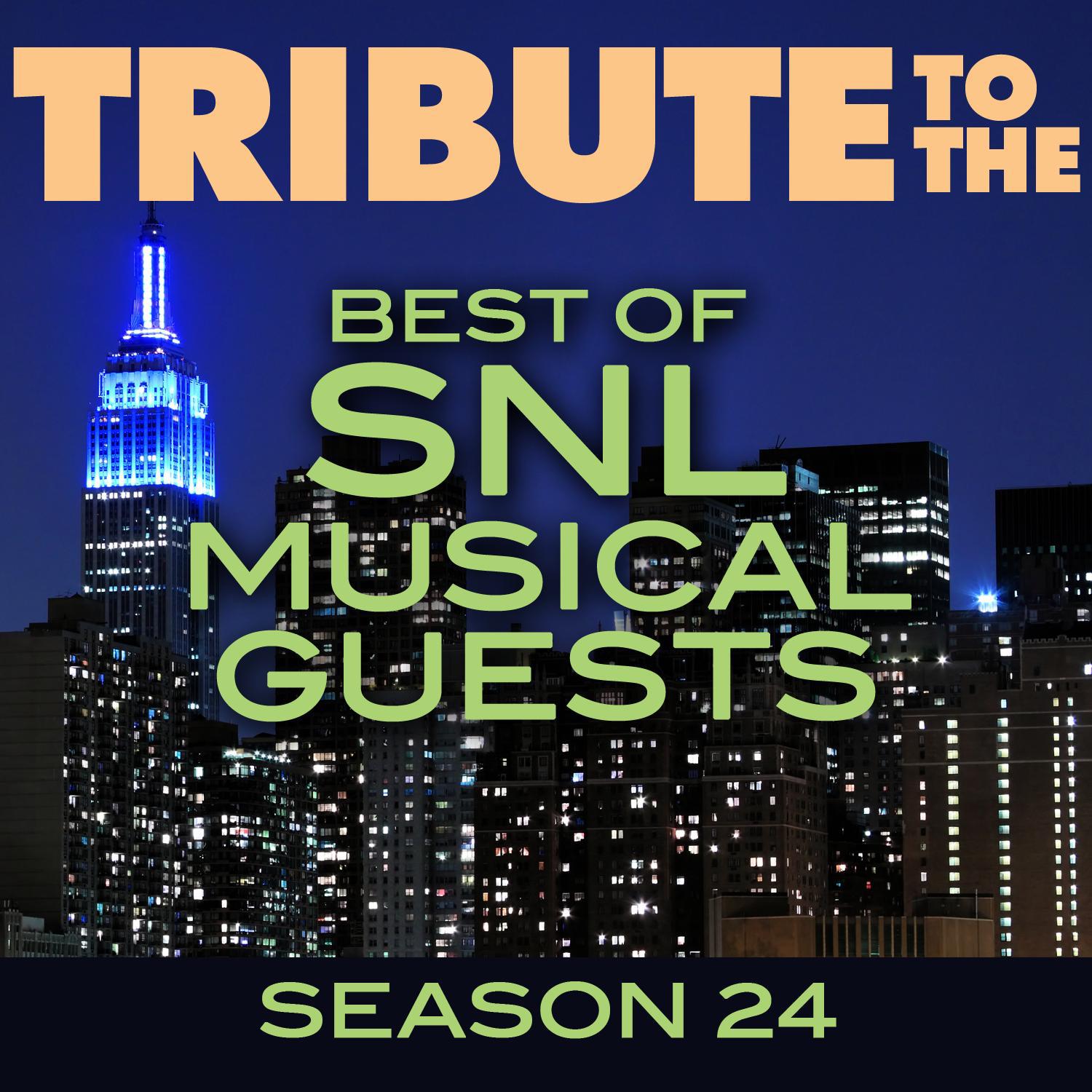 Tribute to the Best of SNL Musical Guests Season 24