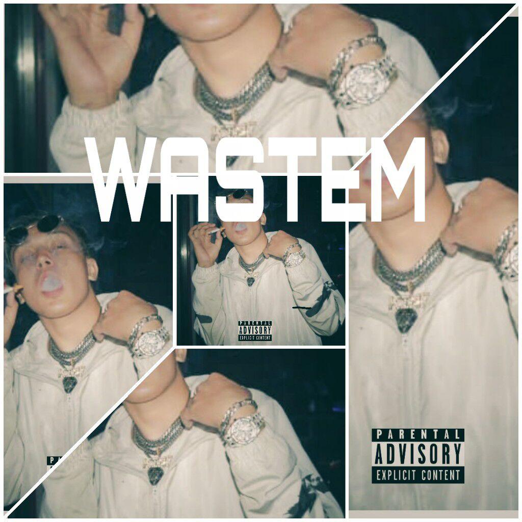 WASTEM