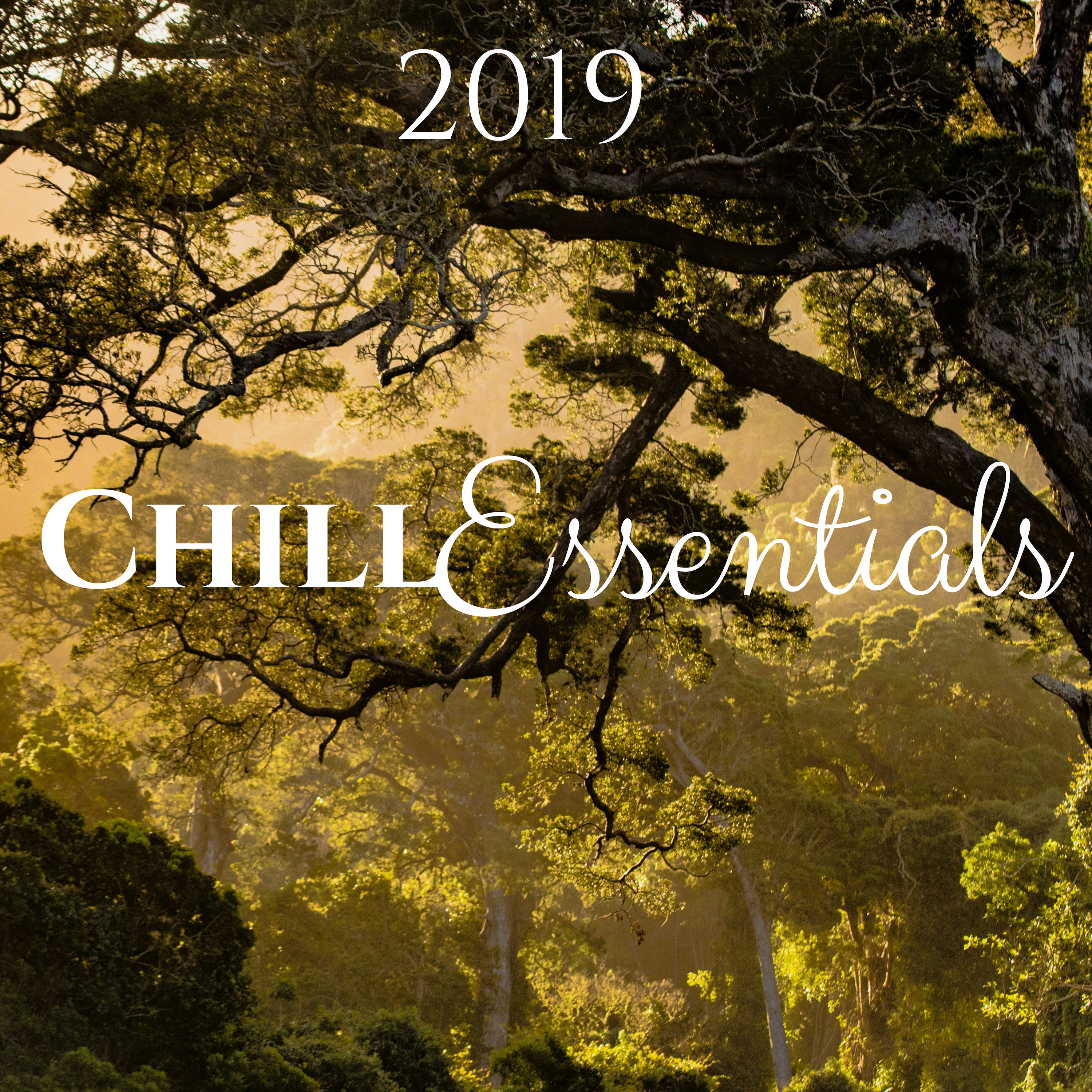 Chill Essentials 2019