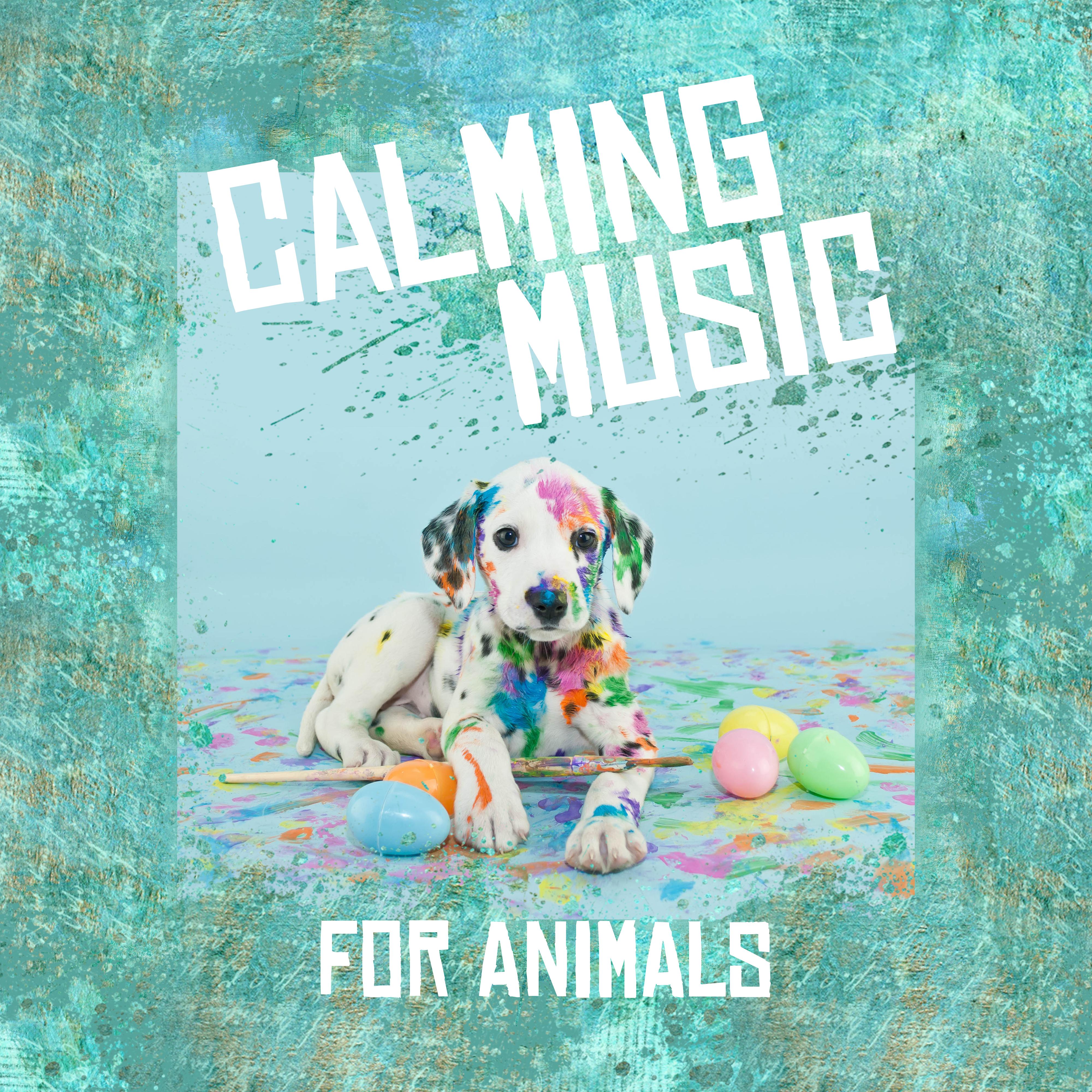 Calming Music for Animals