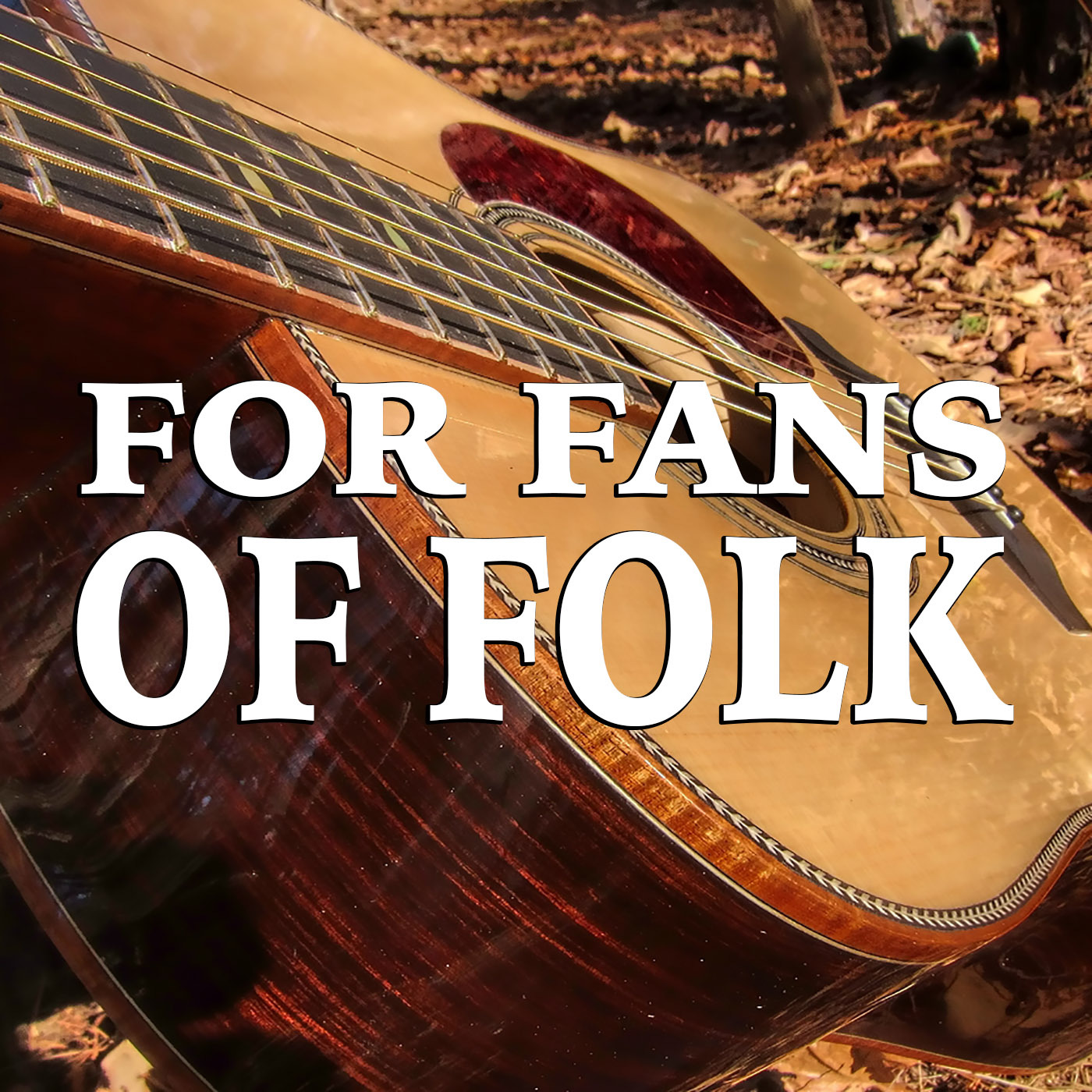 For Fans Of Folk