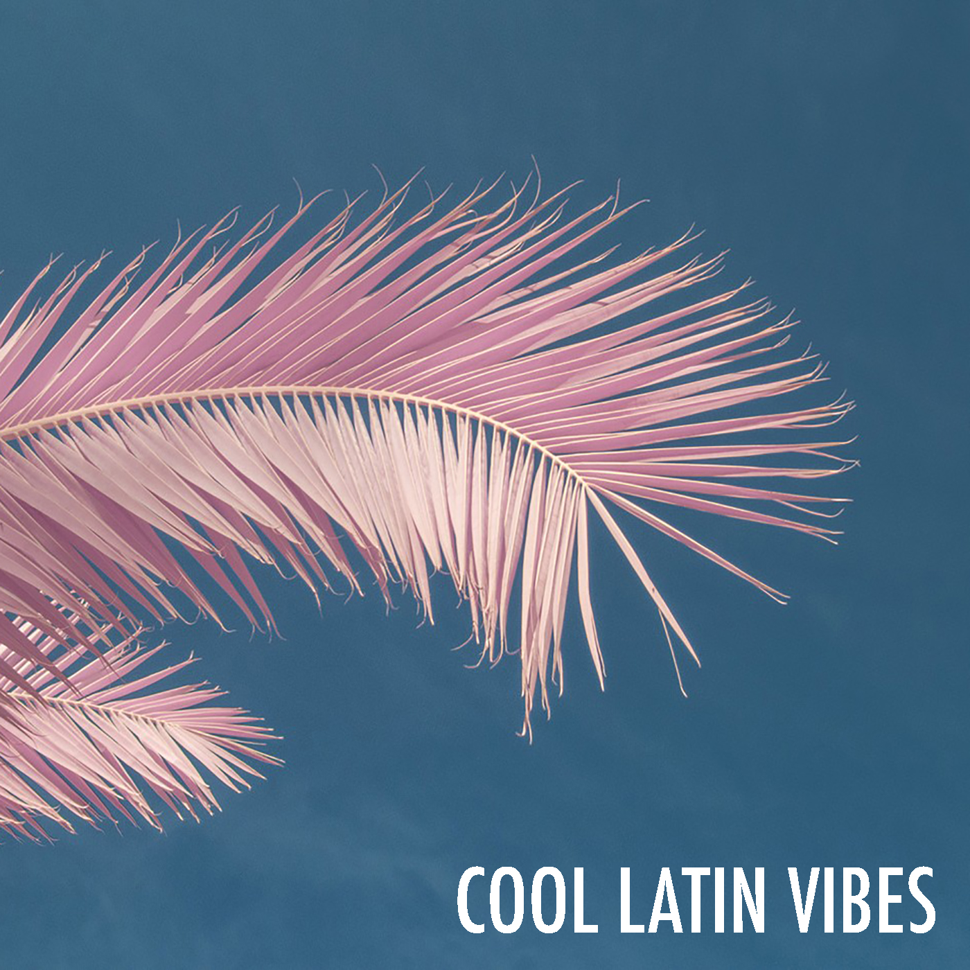 Cool Latin Vibes