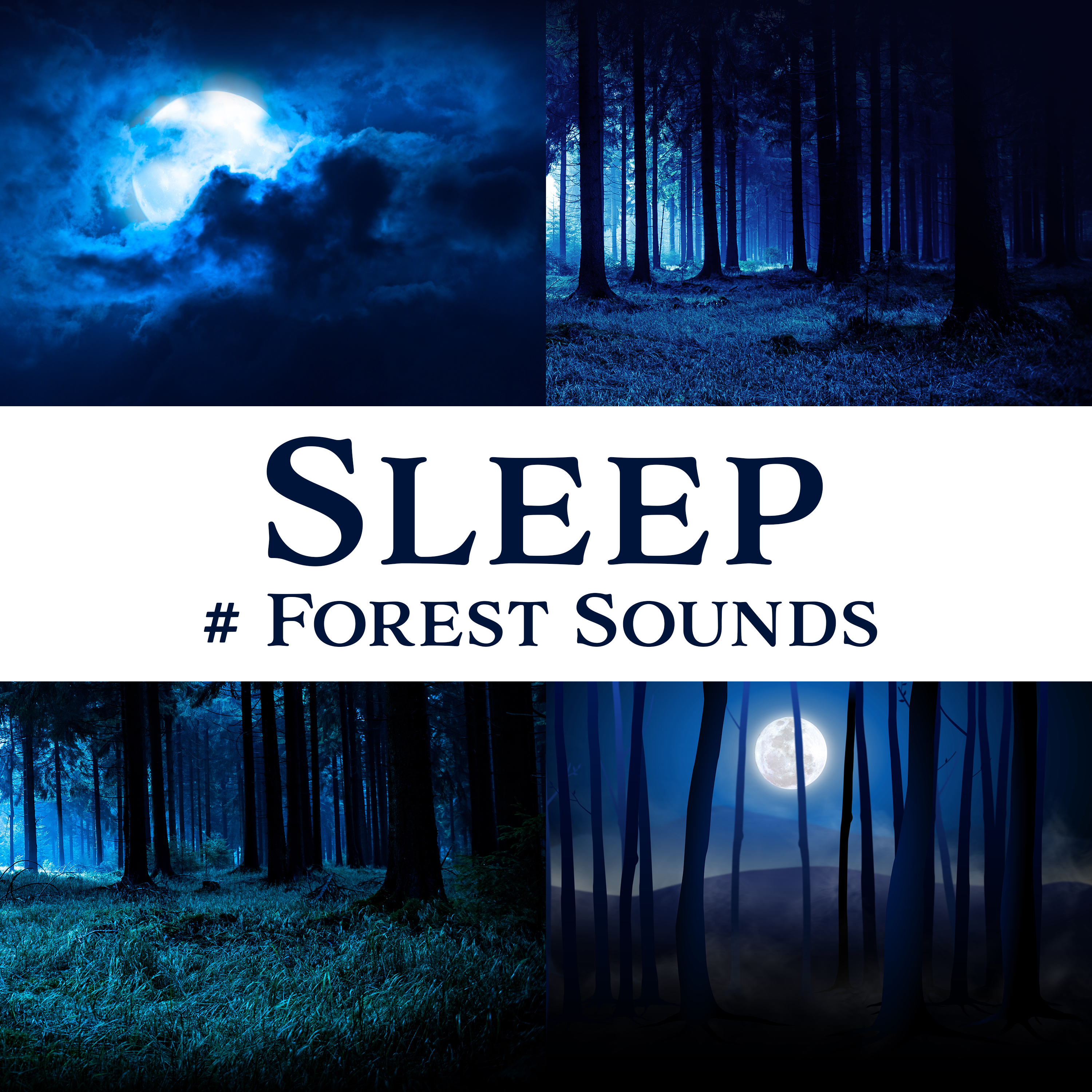 Sleep (# Forest Sounds)