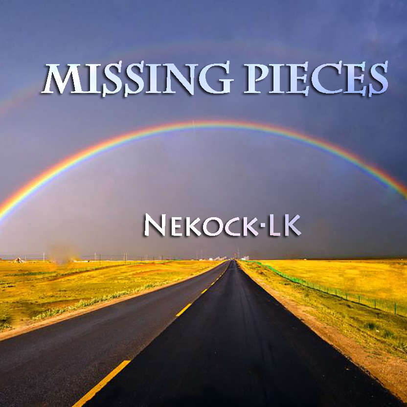 Missing Pieces