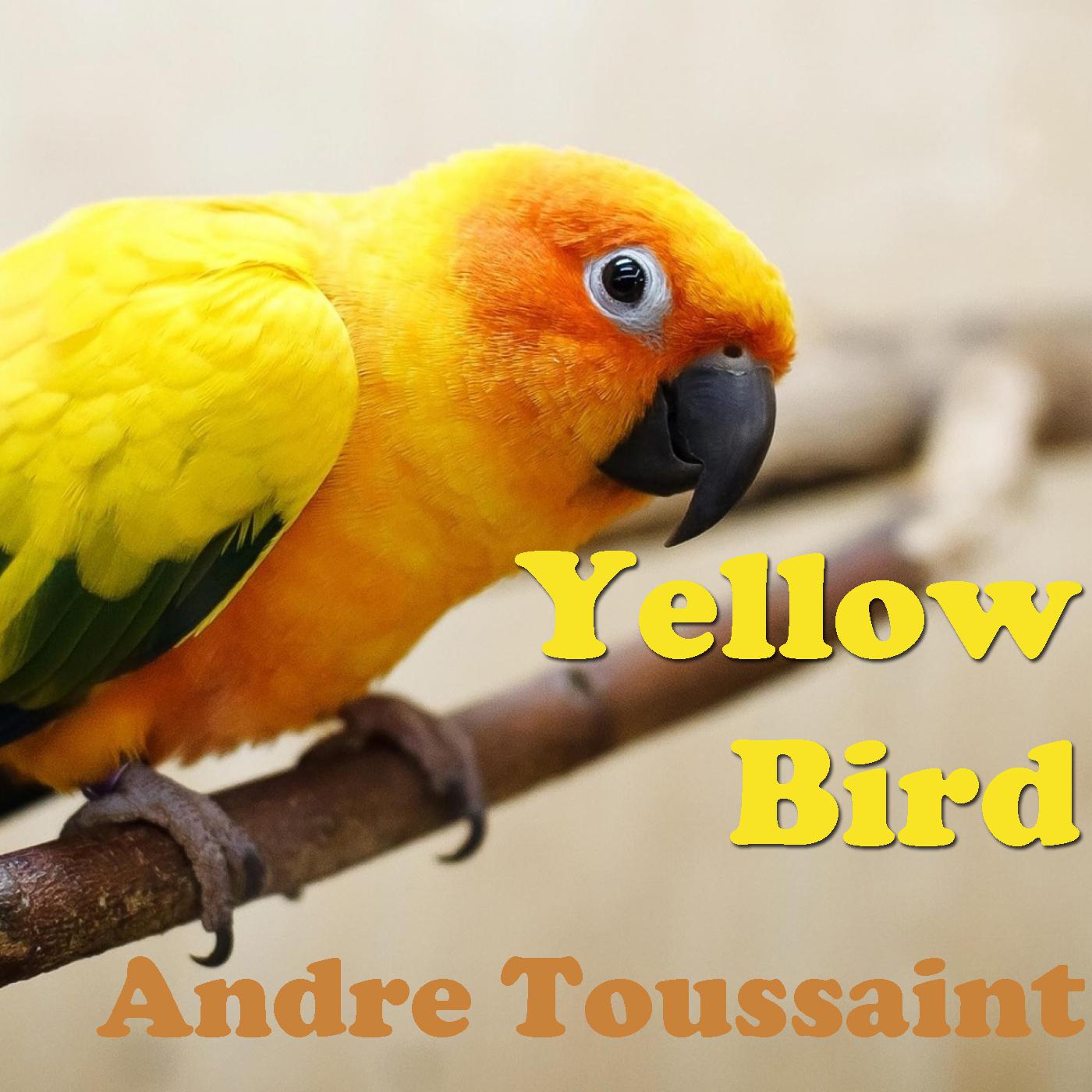 Yellow Bird