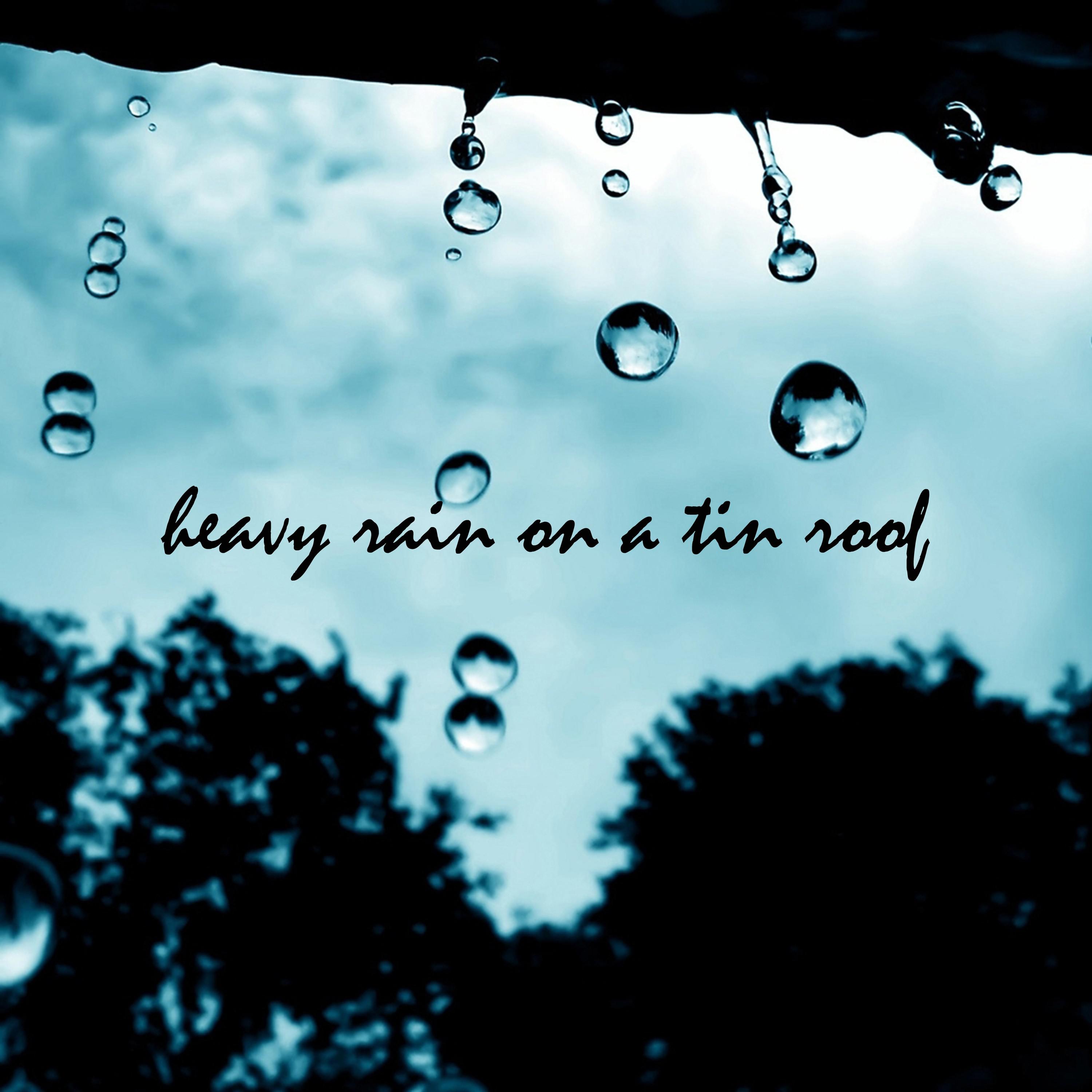 Heavy Rain on a Tin Roof, Pt. 29