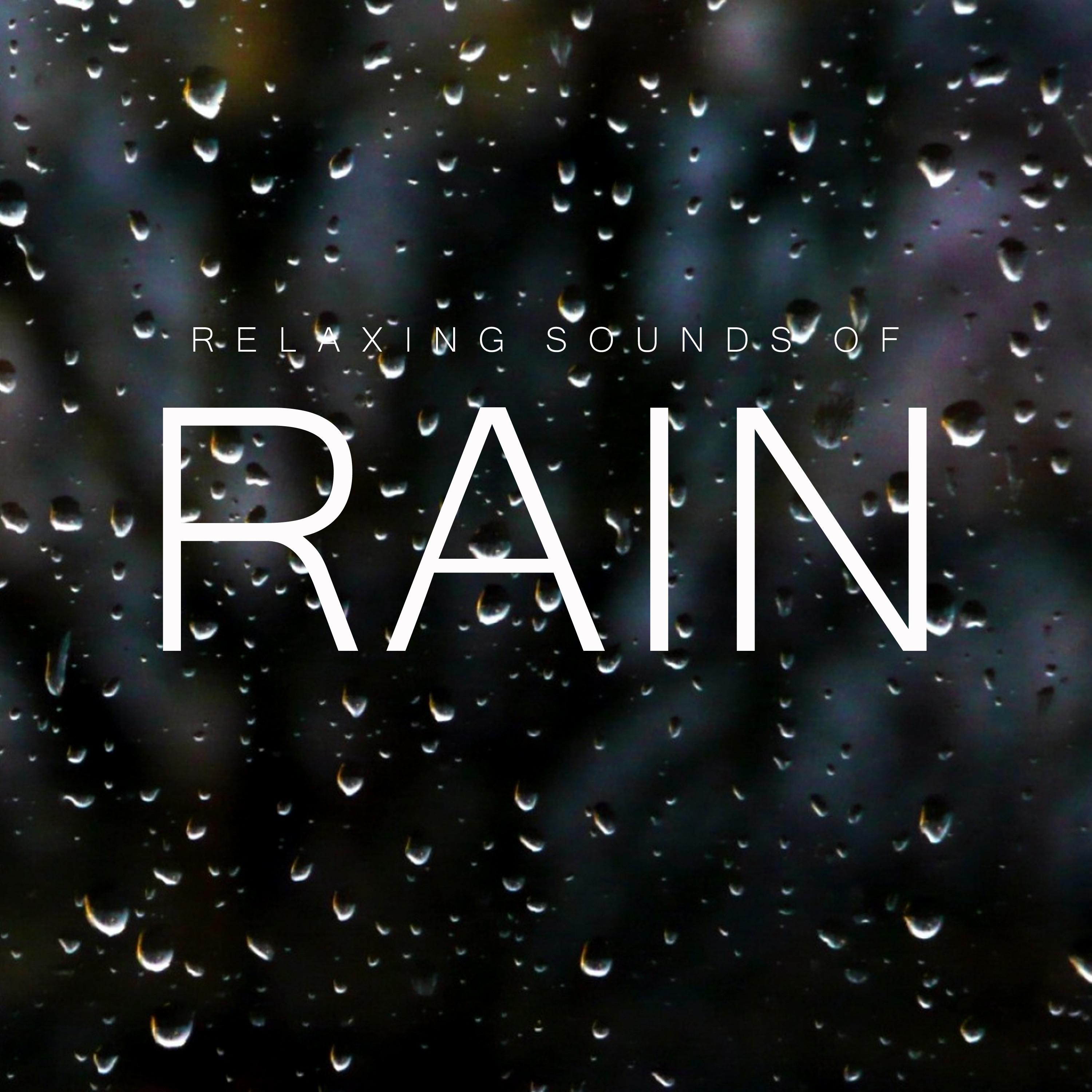 Relaxing Sounds: Night Rain