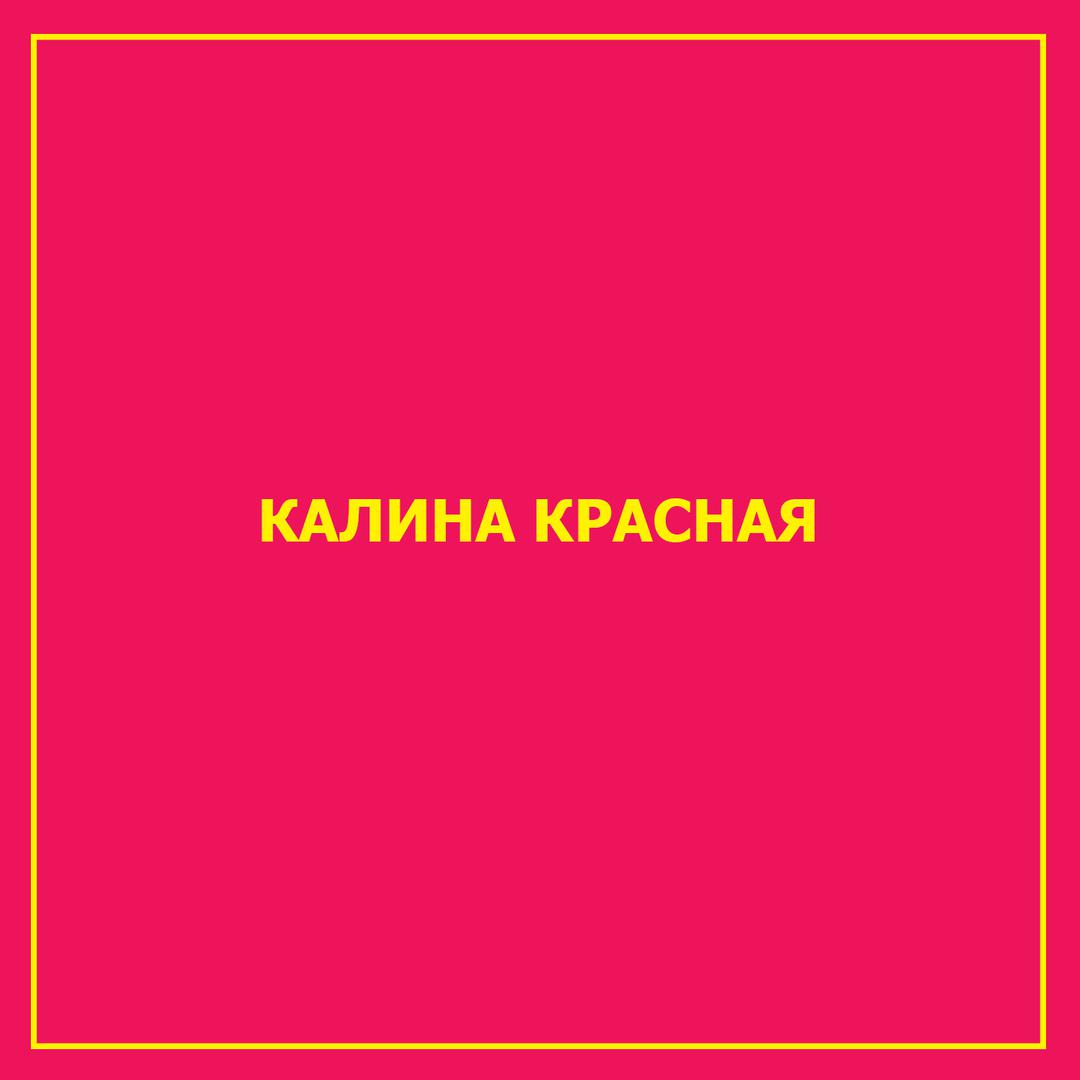 Калина красная