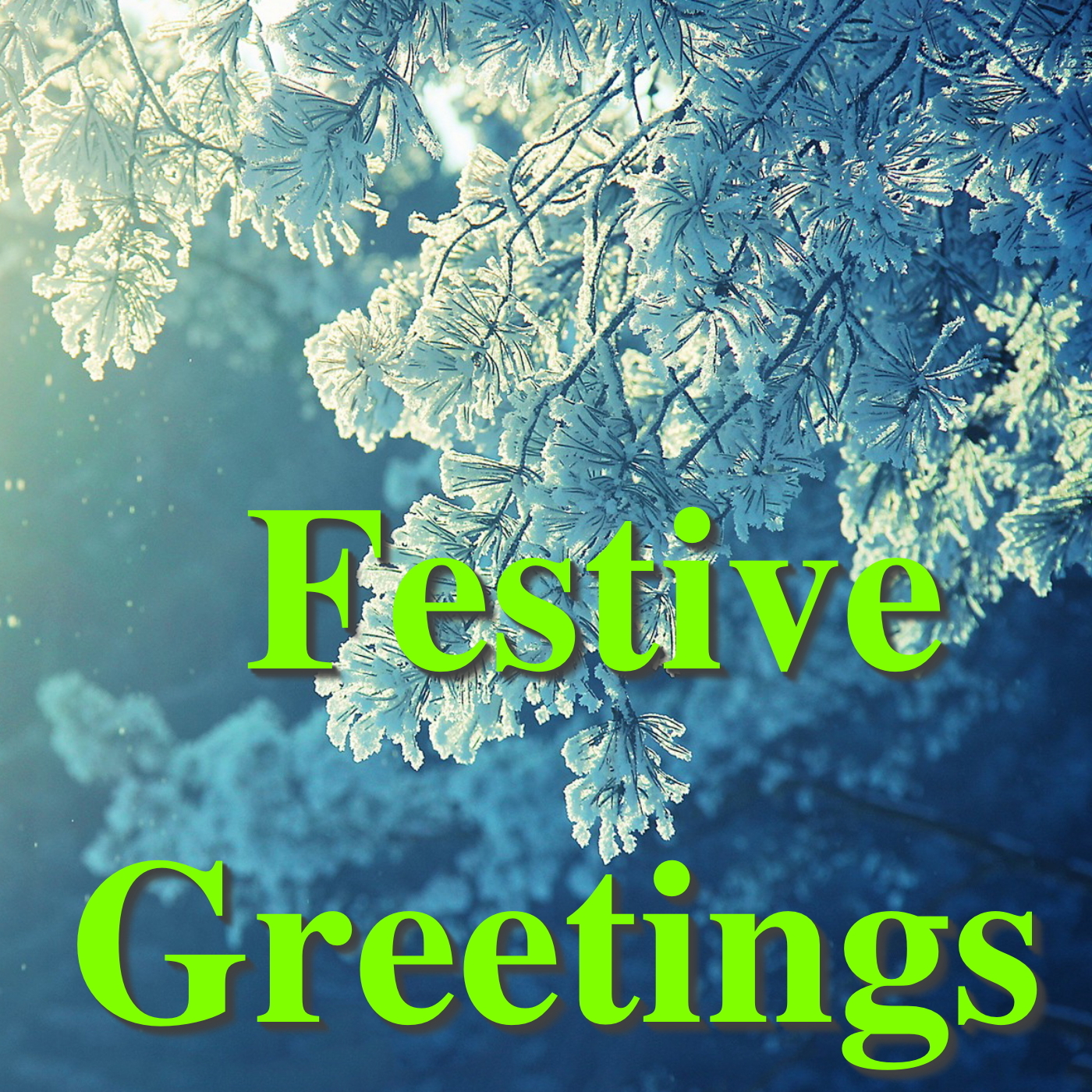 Festive Greetings