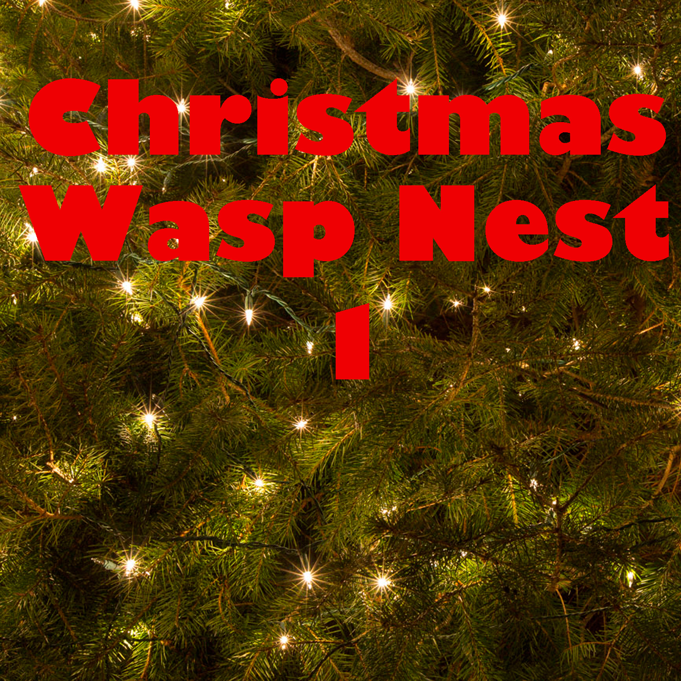 Christmas Wasp Nest, Vol. 1