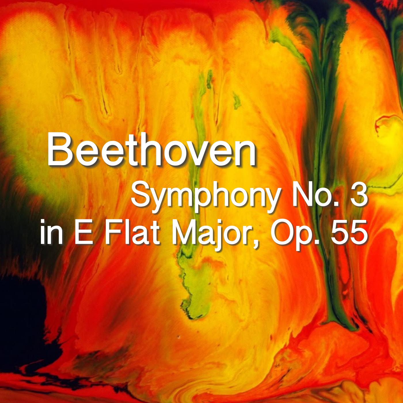 Symphony No. 3 in E Flat Major, Op. 55: I