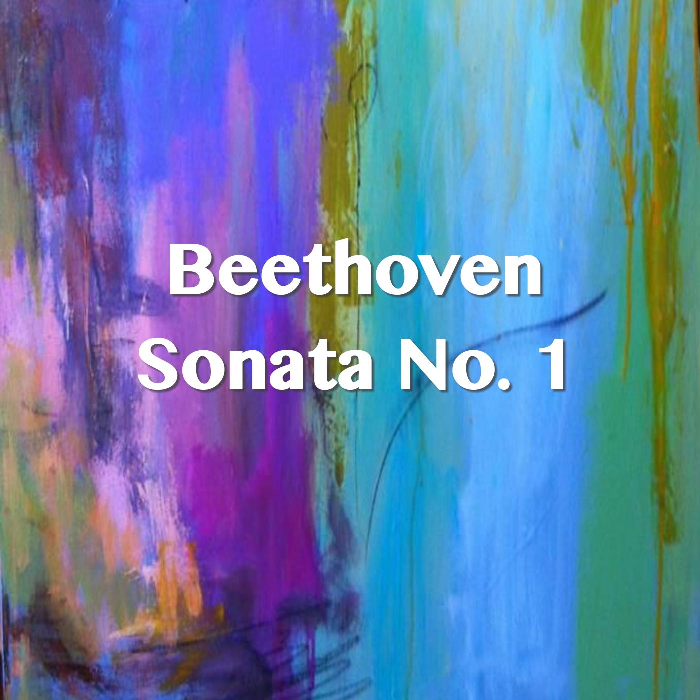 Sonata No. 1: IV