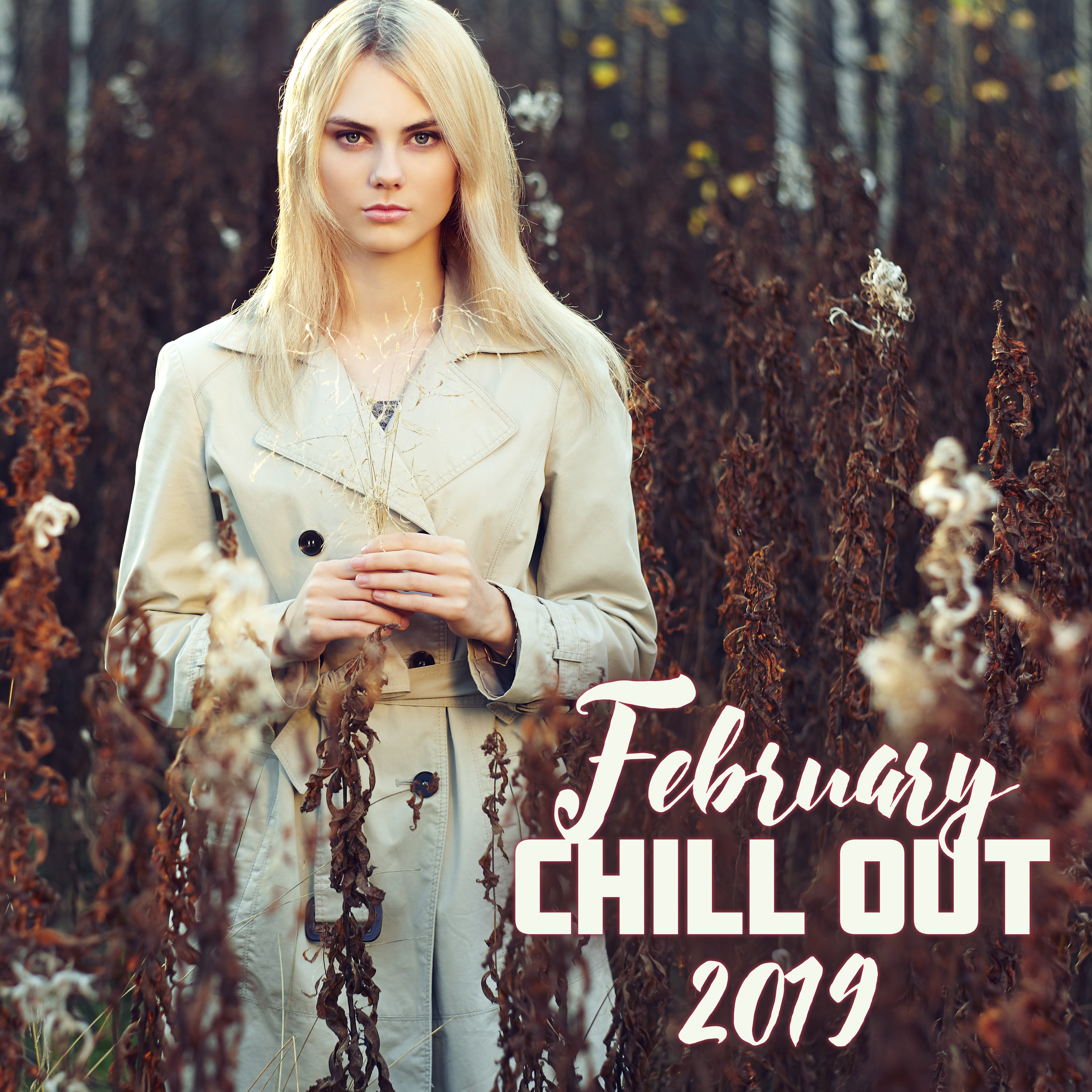 February Chill Out 2019 - Winter Lounge Coffee, Calming Beats for Relaxation, Sleep, Meditation, Winter Chillout 2019, Perfect Relax