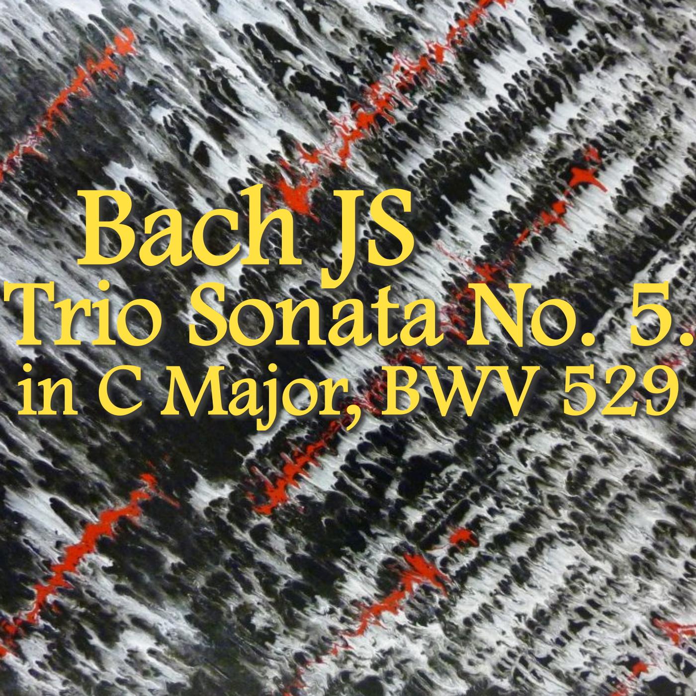 Bach JS Trio Sonata No. 5 in C Major, BWV. 529