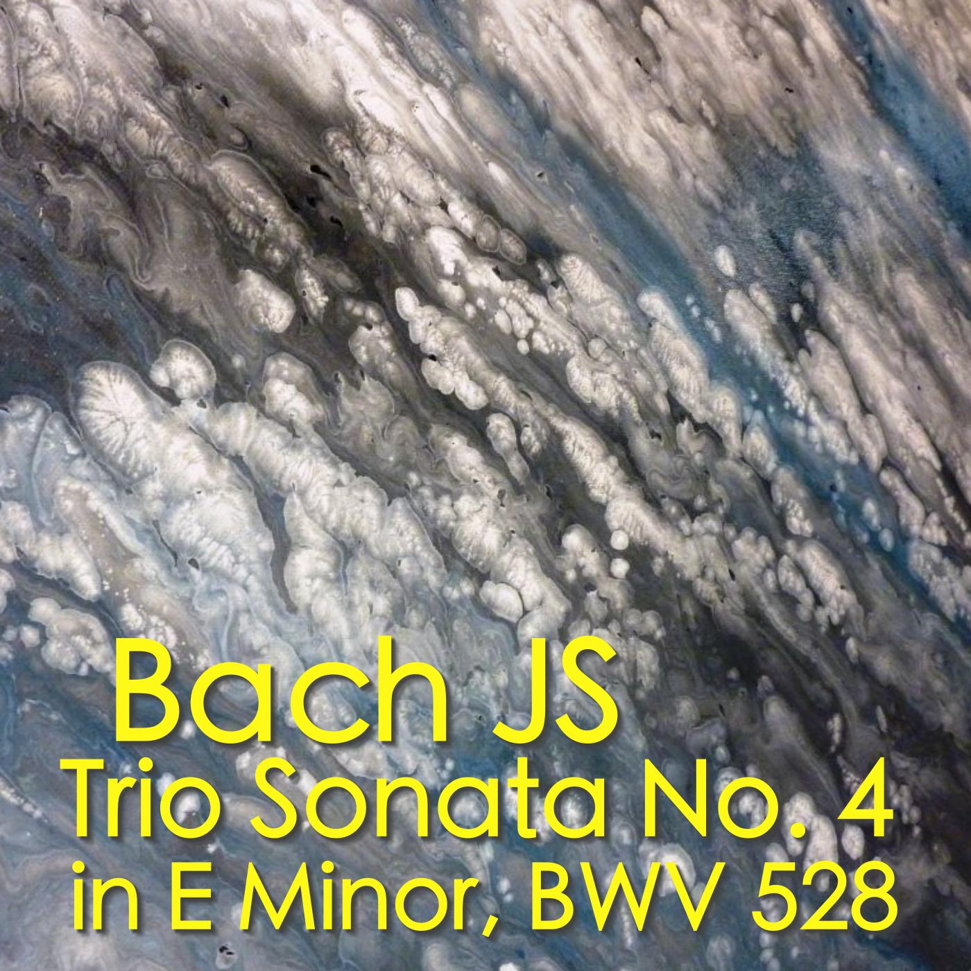 Bach JS Trio Sonata No. 4. in E Minor, BWV. 528