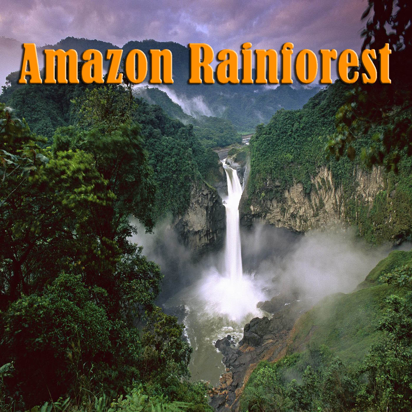 Amazon Rainforest