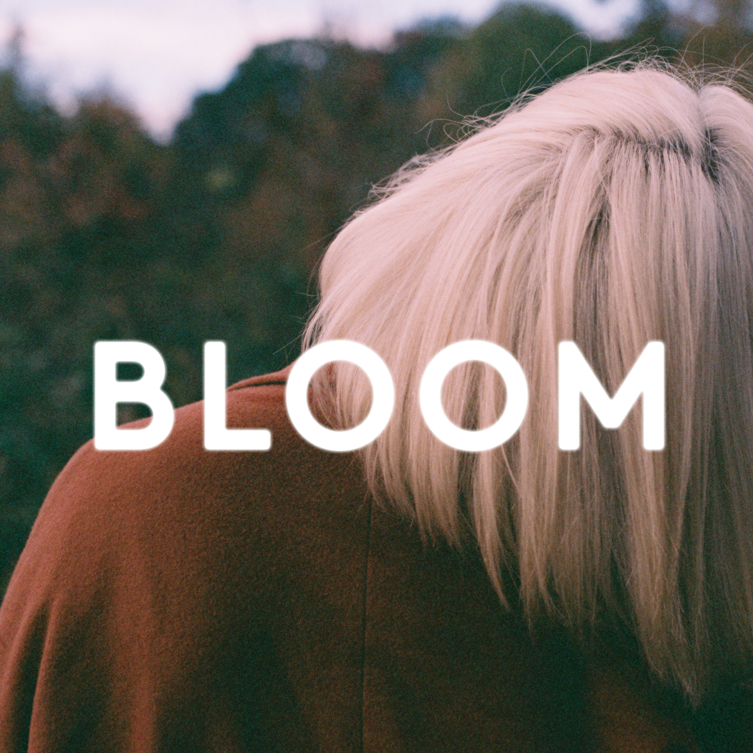 Bloom