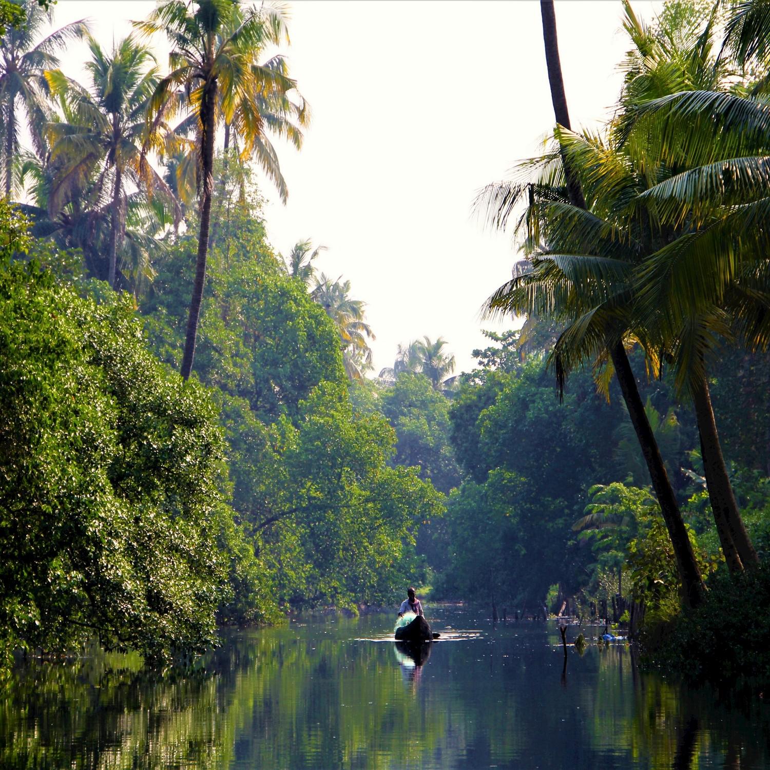 Tropical Lake: Dawn on a Small Boat - Birds & Oars