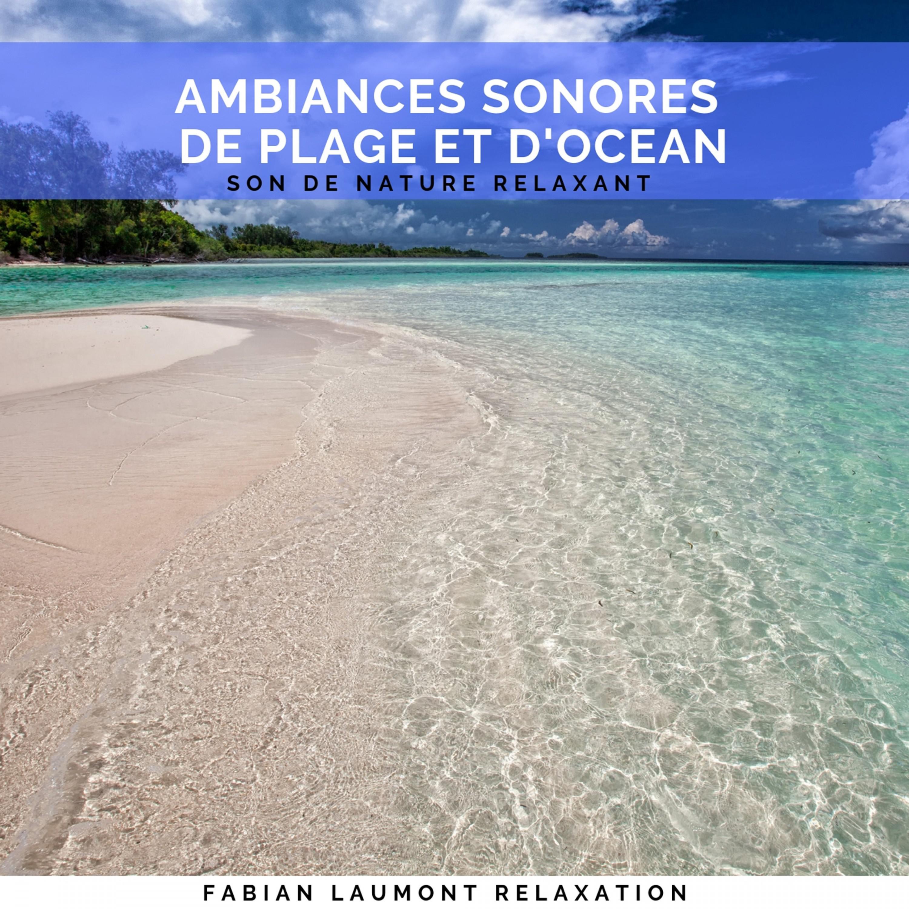 Ambiances Sonores De Plage Et D'ocean