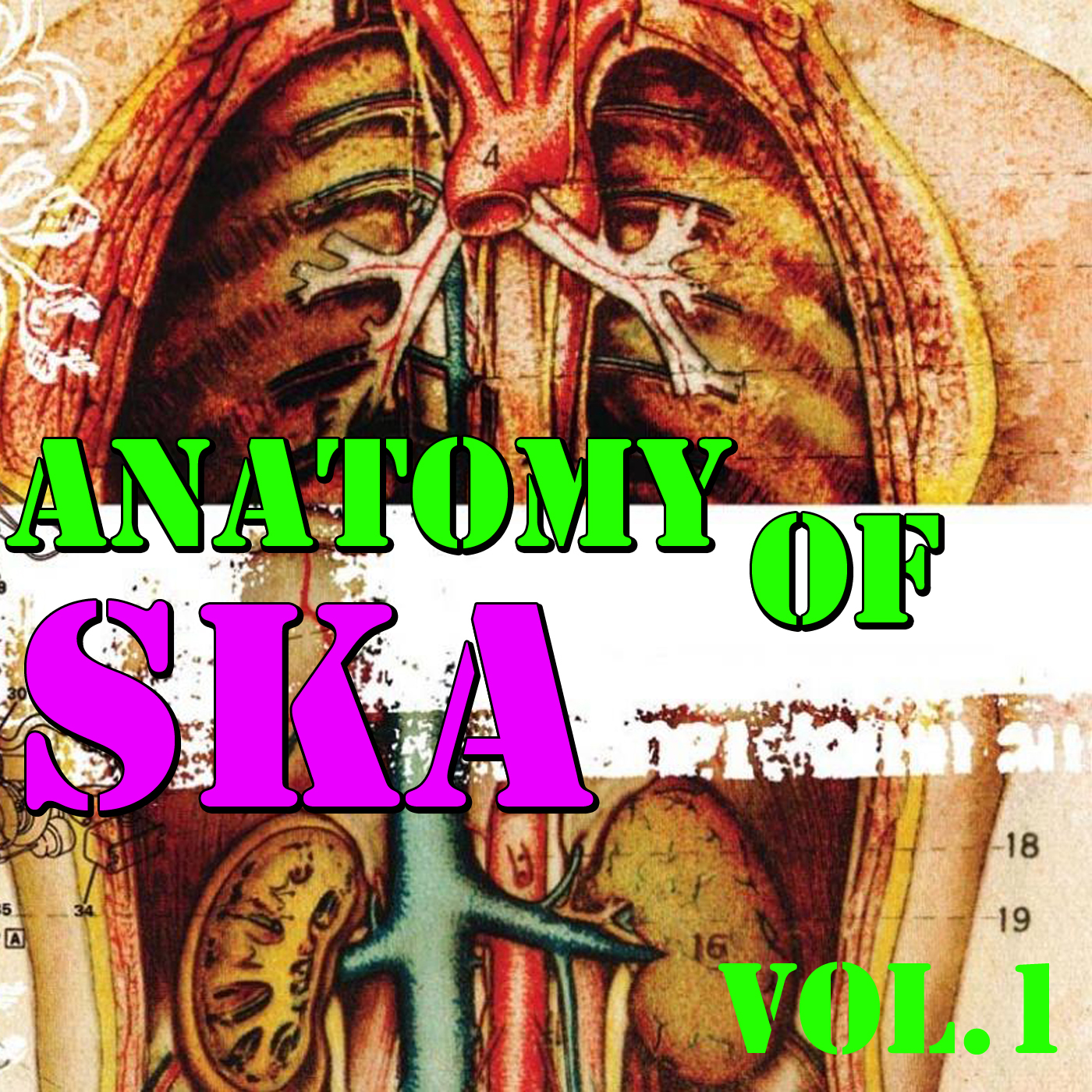 Anatomy Of Ska, Vol.1