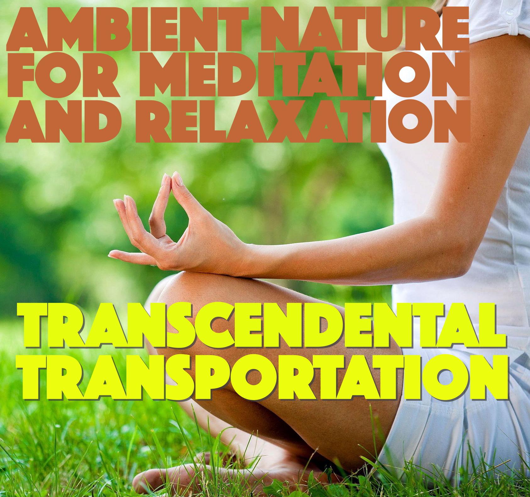 Transcendental Transportation: Ambient Nature for Relaxation and Meditation