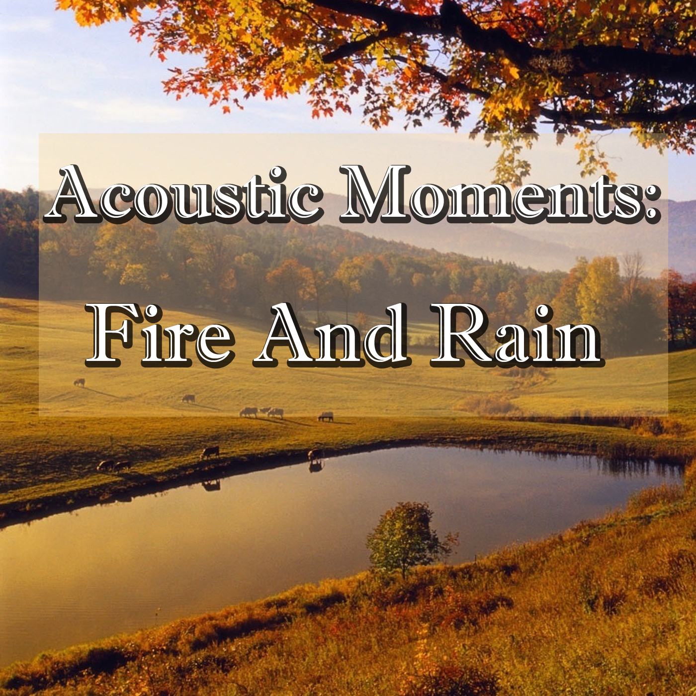 Acoustic Moments: Fire And Rain