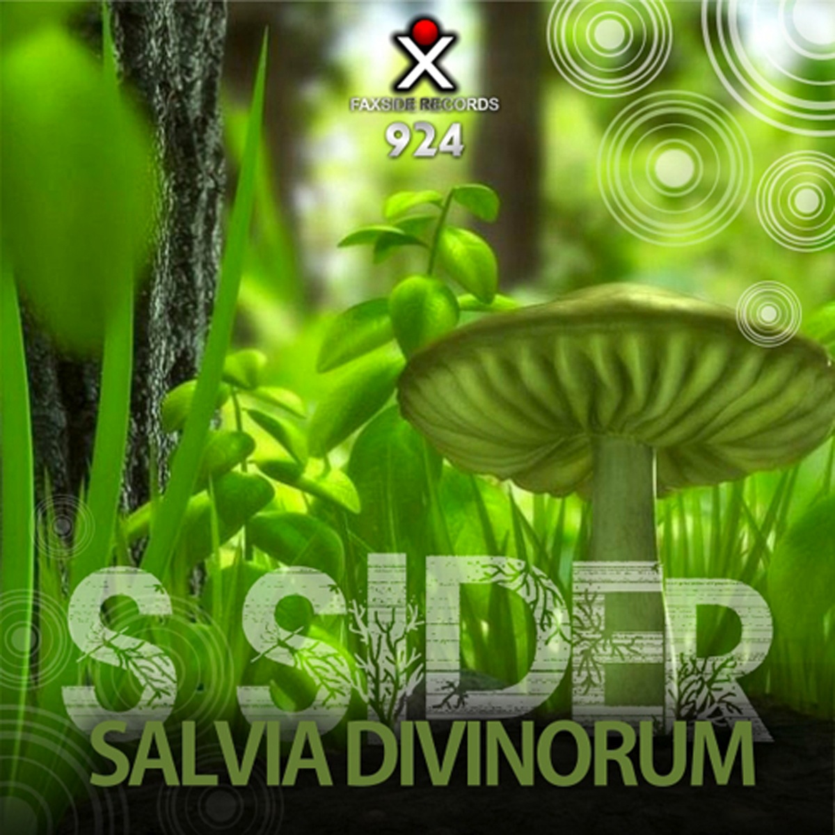 Salvia Divinorum