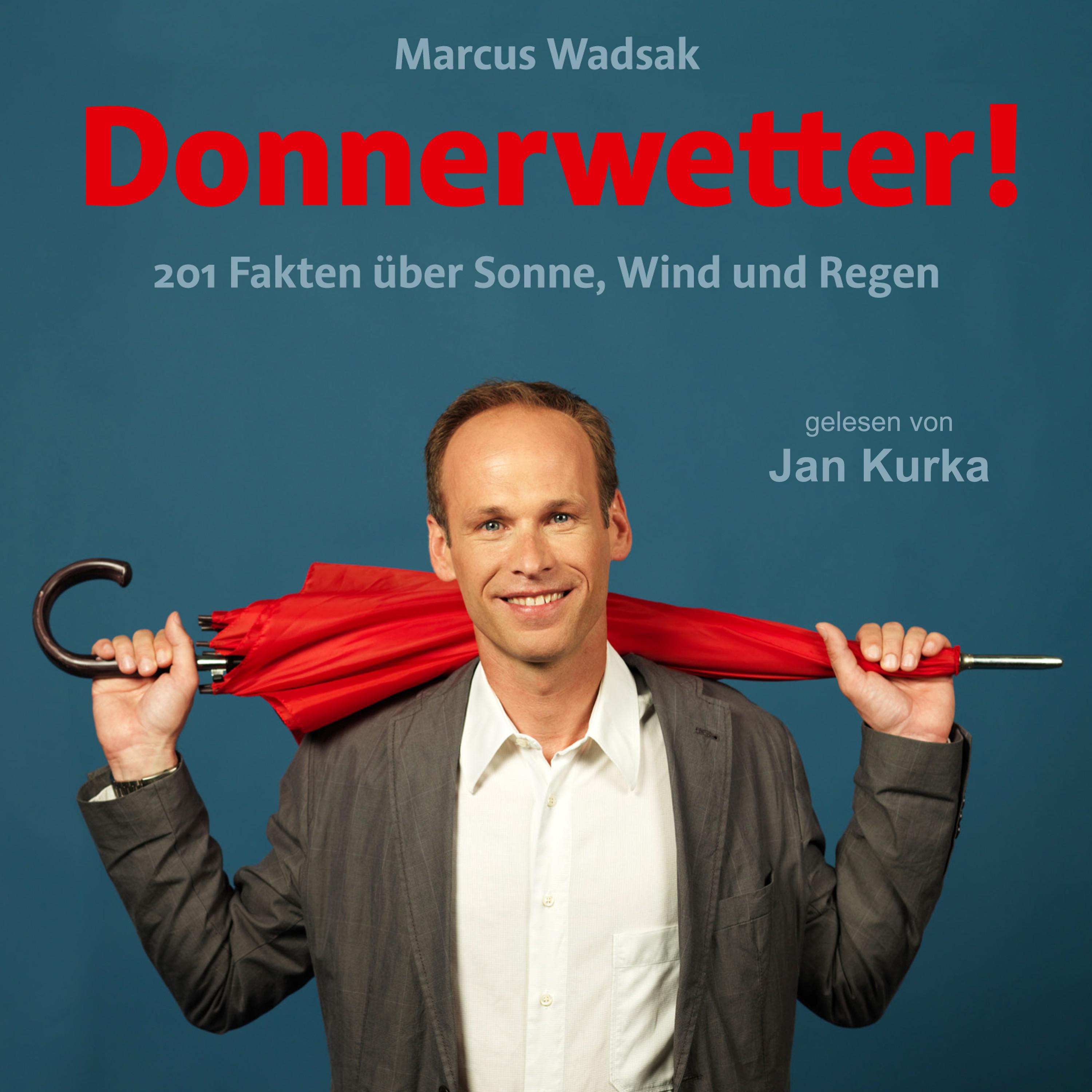 Donnerwetter