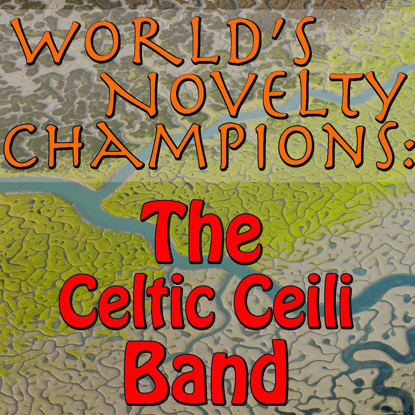 World's Novelty Champions: The Celtic Ceili Band