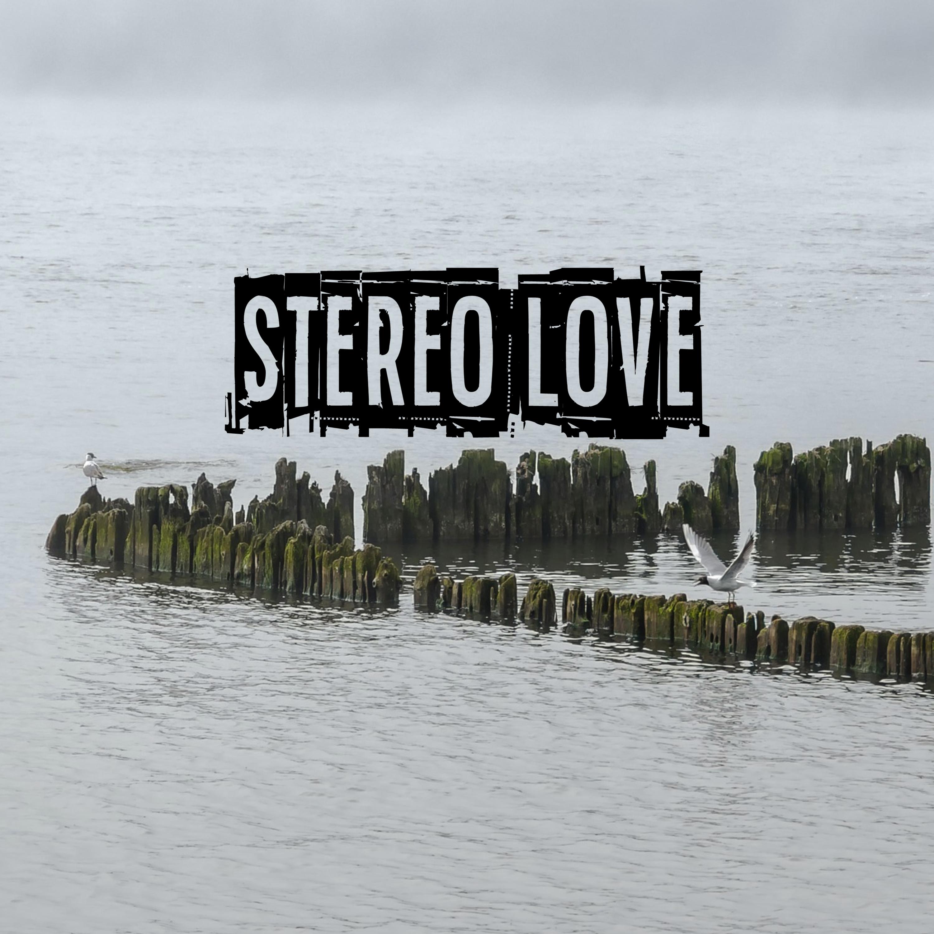 Stereo Love