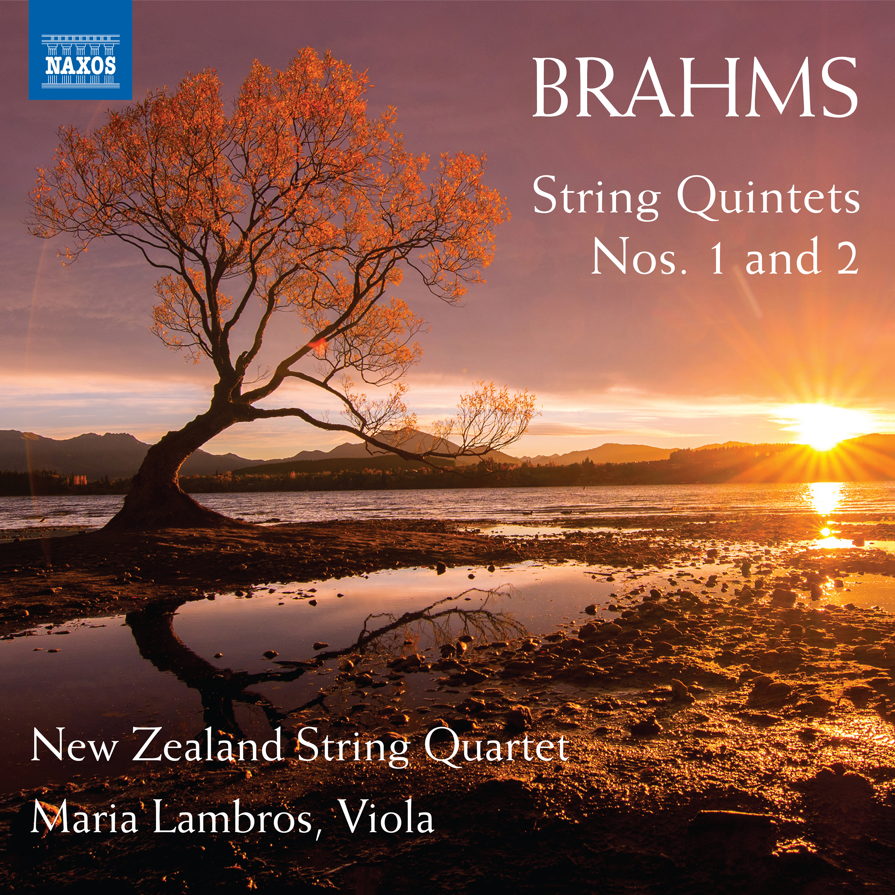 String Quintet No. 1 in F Major, Op. 88:I. Allegro non troppo ma con brio