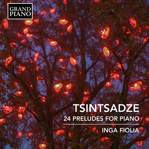 24 Preludes for Piano:No. 2 in A Minor