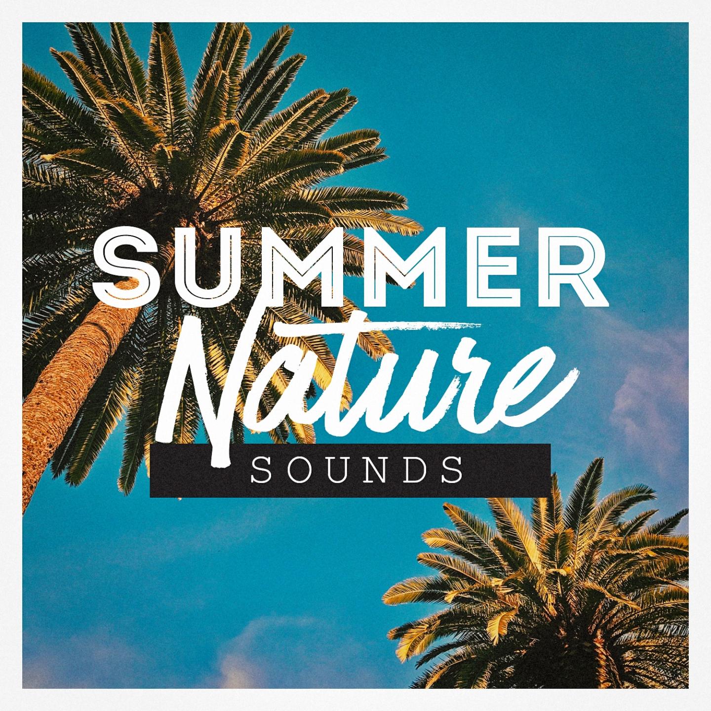 Summer Nature Sounds