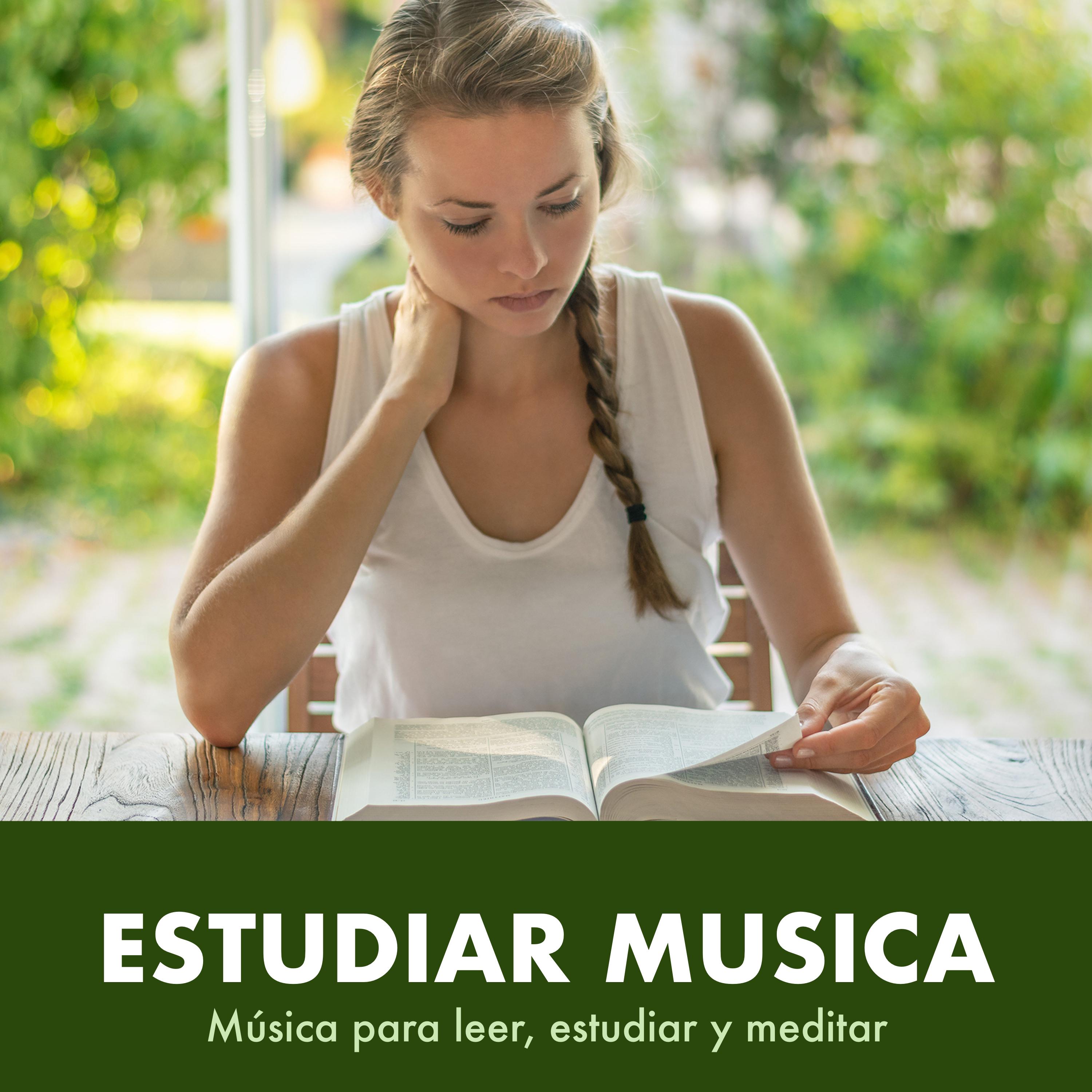 Música tranquila - Musica para leer