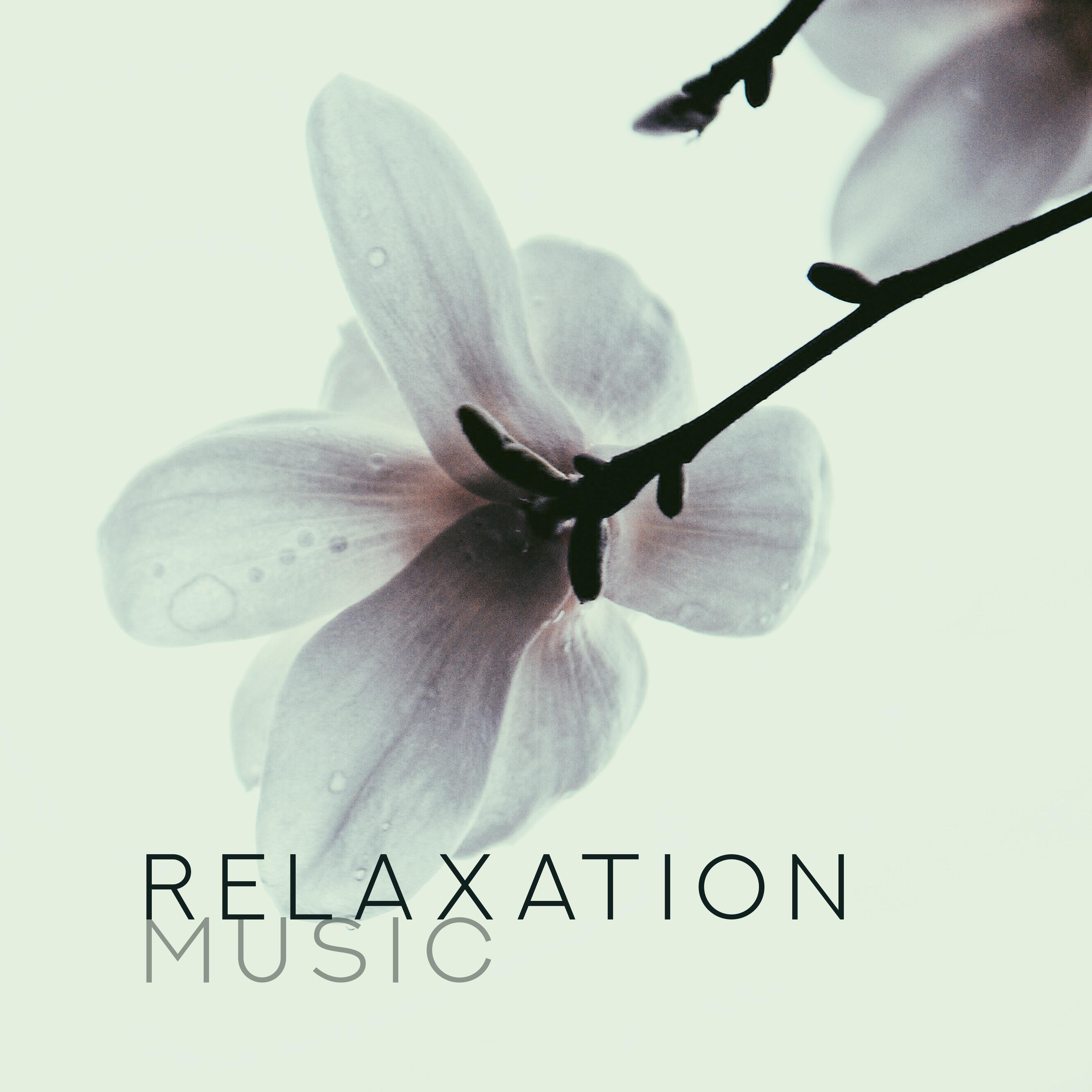 Relaxation Music – Deep Chillout 2019, Pure Mind, Zero Stress, Coffee Chillout, Relaxing Vibes, Deeper Sleep